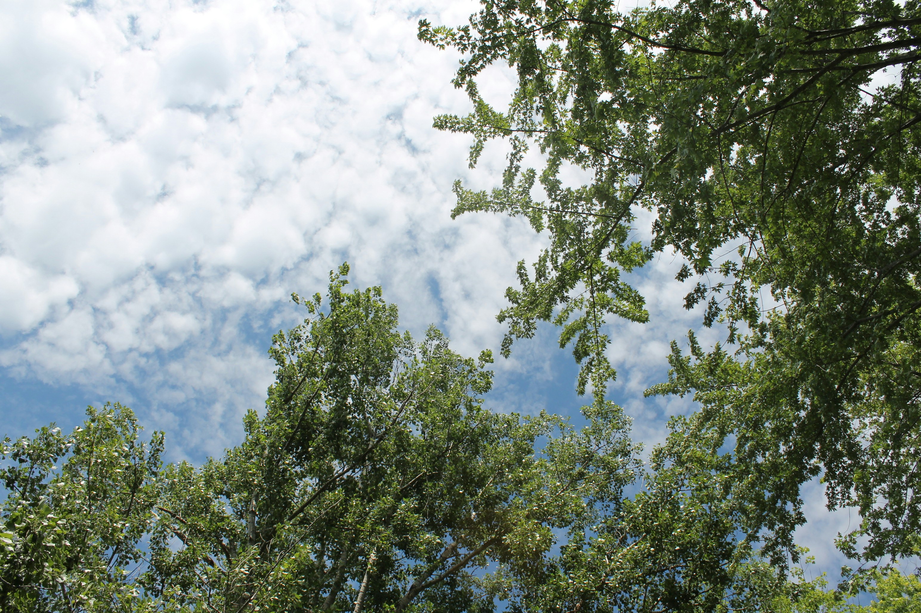 Photo by smohammad77