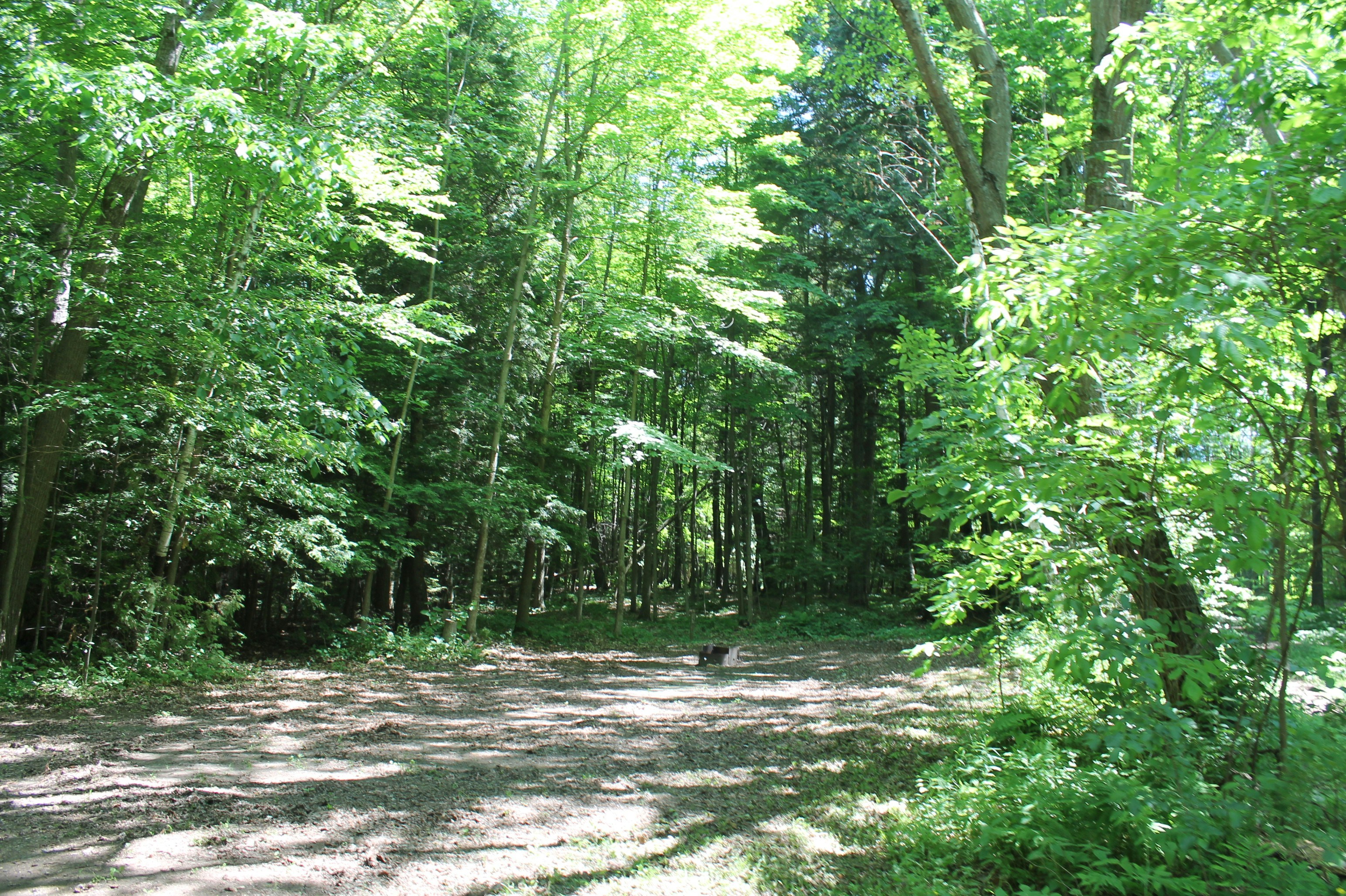 Photo by smohammad77