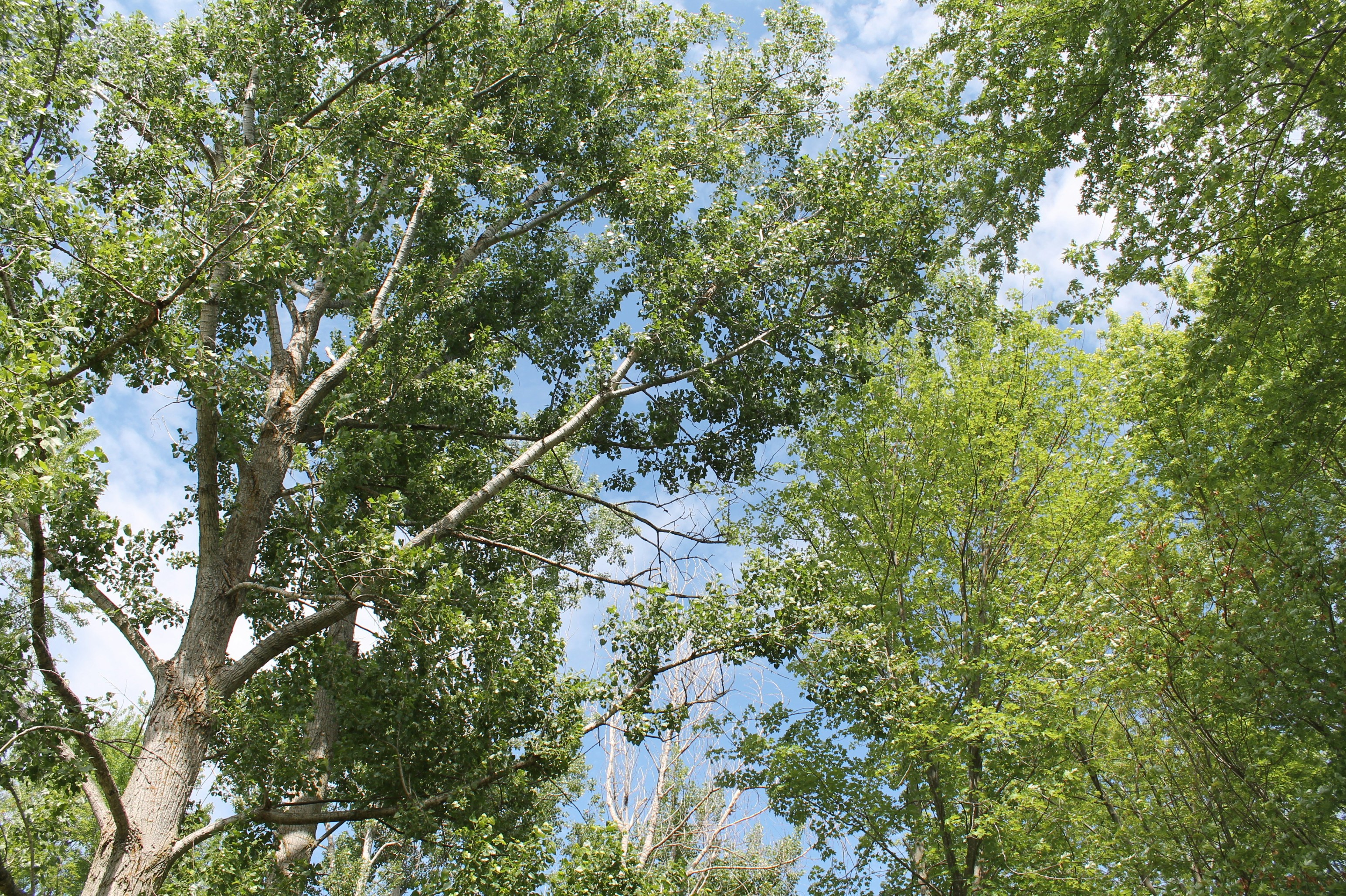 Photo by smohammad77