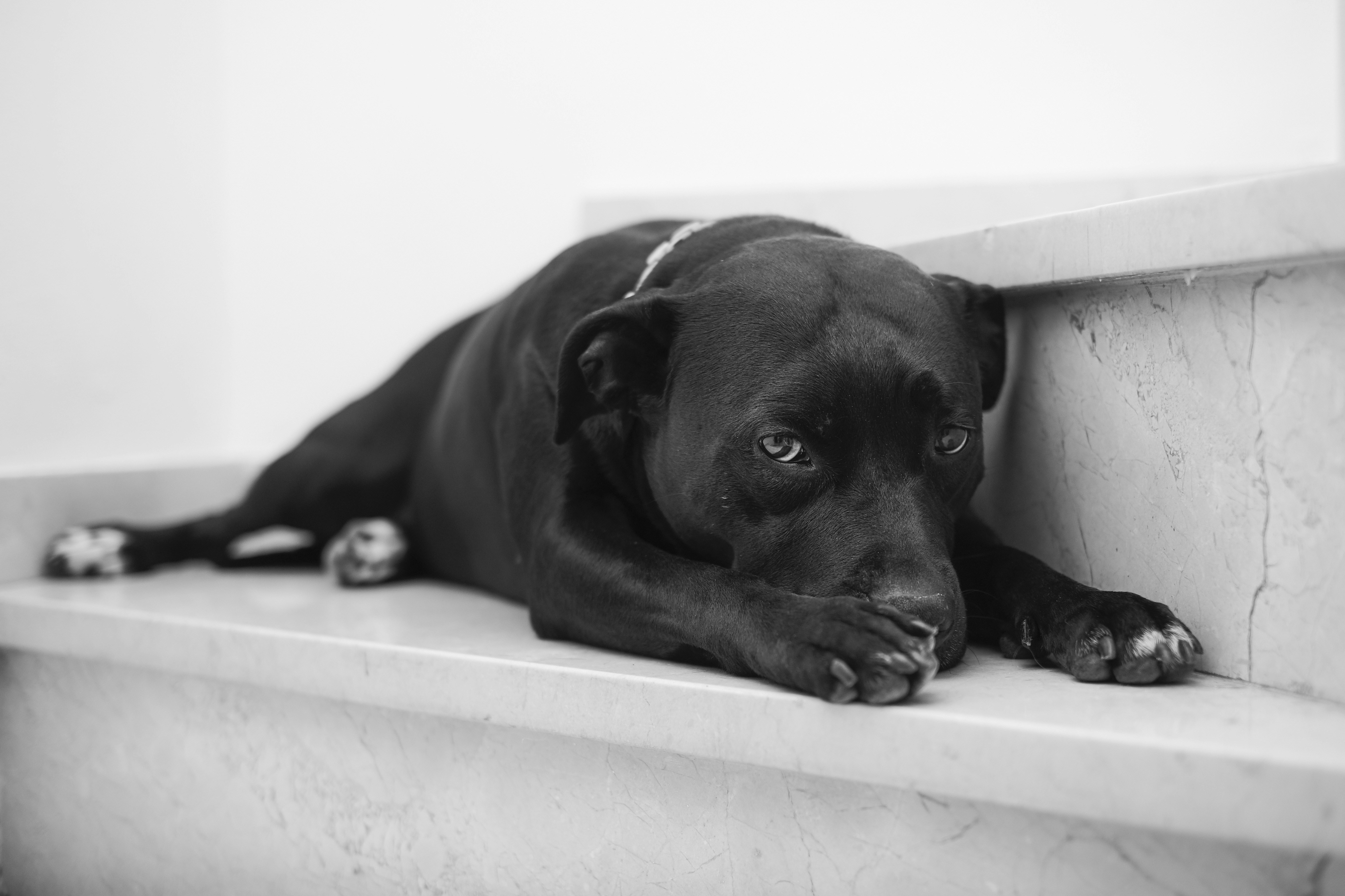 Photo by victor_vector