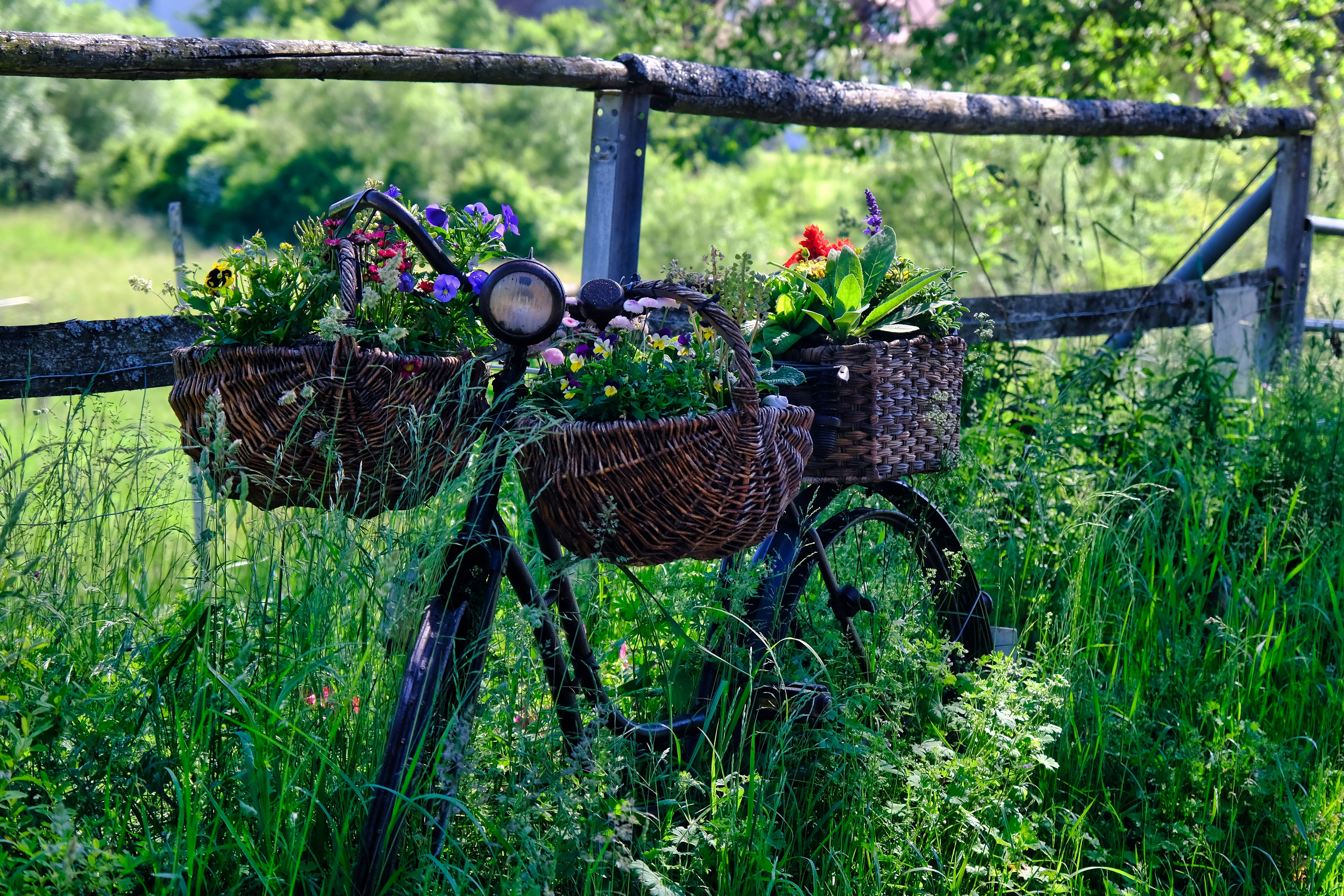 brown woven basket on brown wooden fence