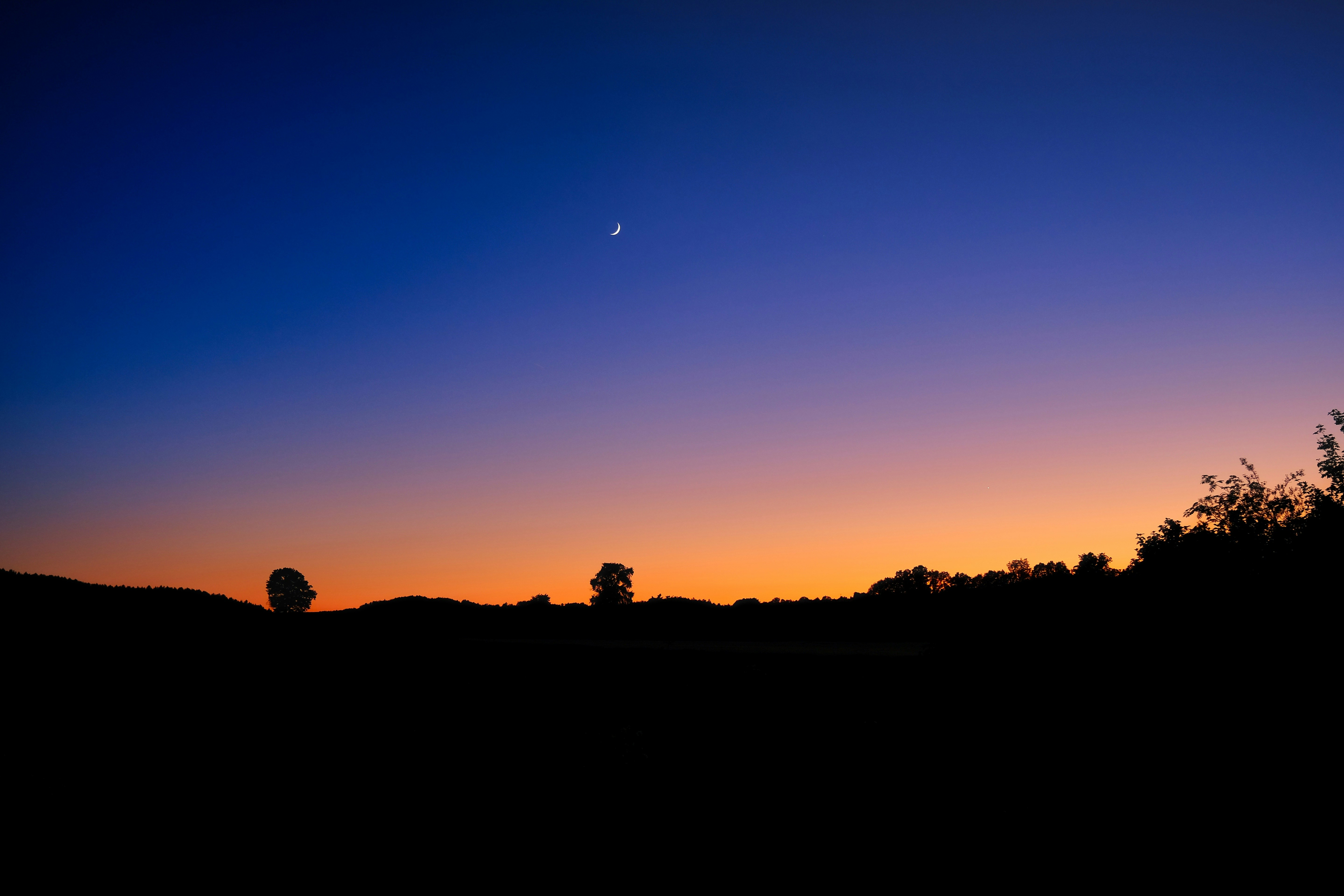 Photo by tassilogroeper