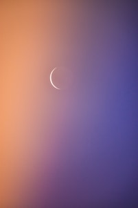 Elegant close-up of a golden crescent moon intertwined with delicate roses on a soft beige background.