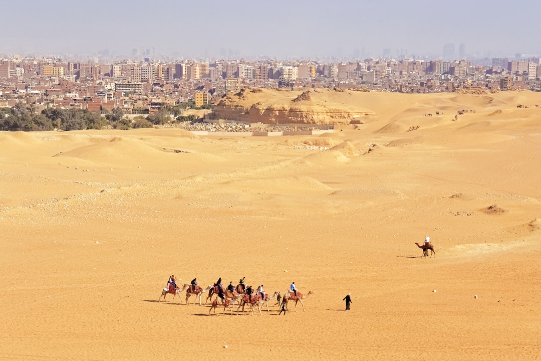 people on desert during daytime