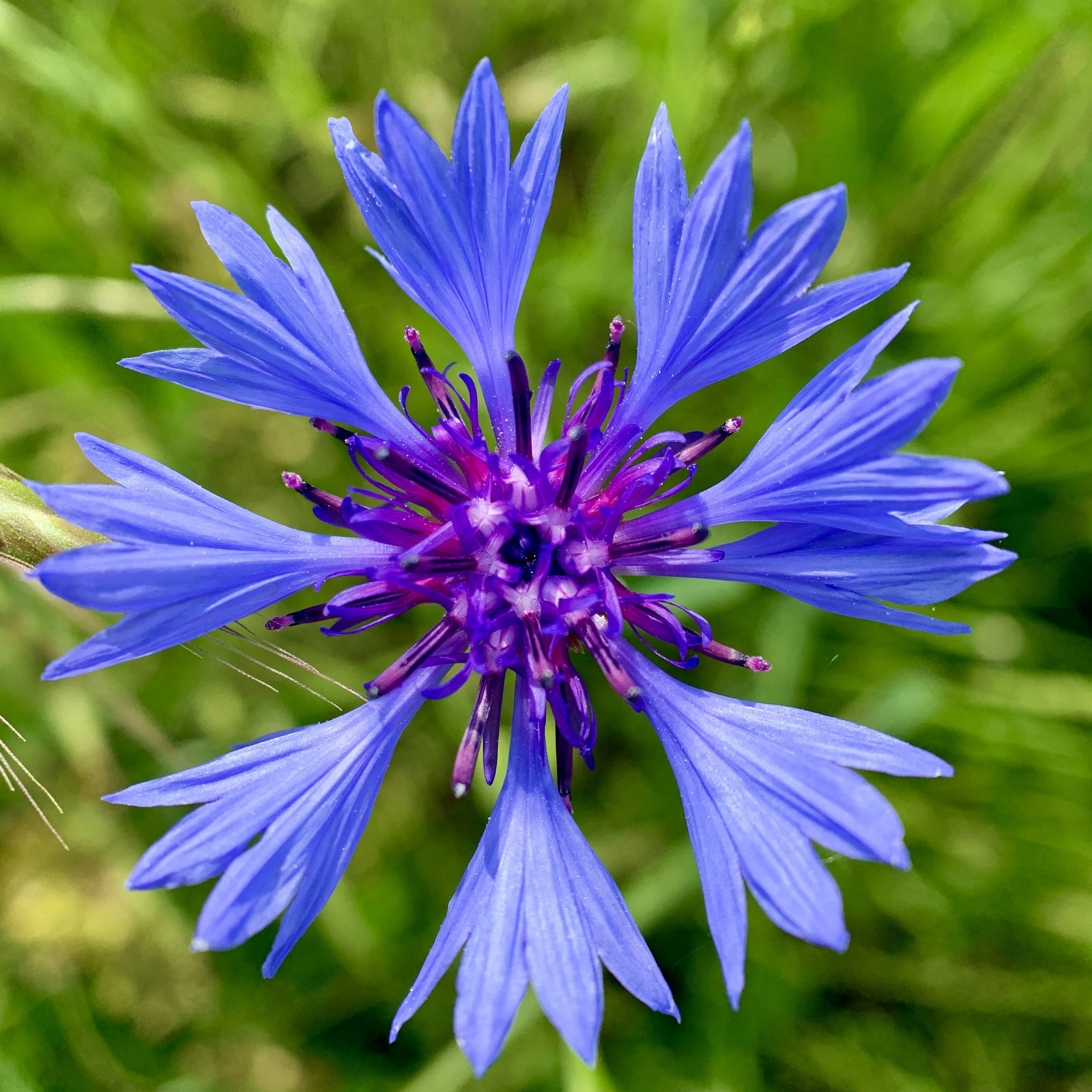 Photo by annie_kramer74