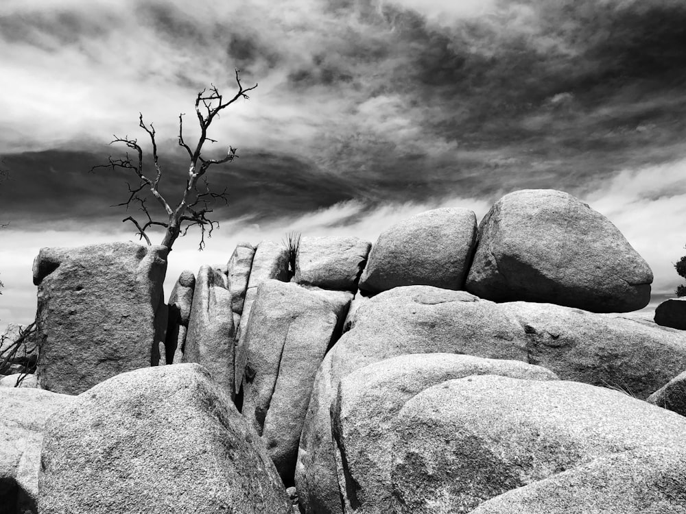 grayscale photo of rocky mountain