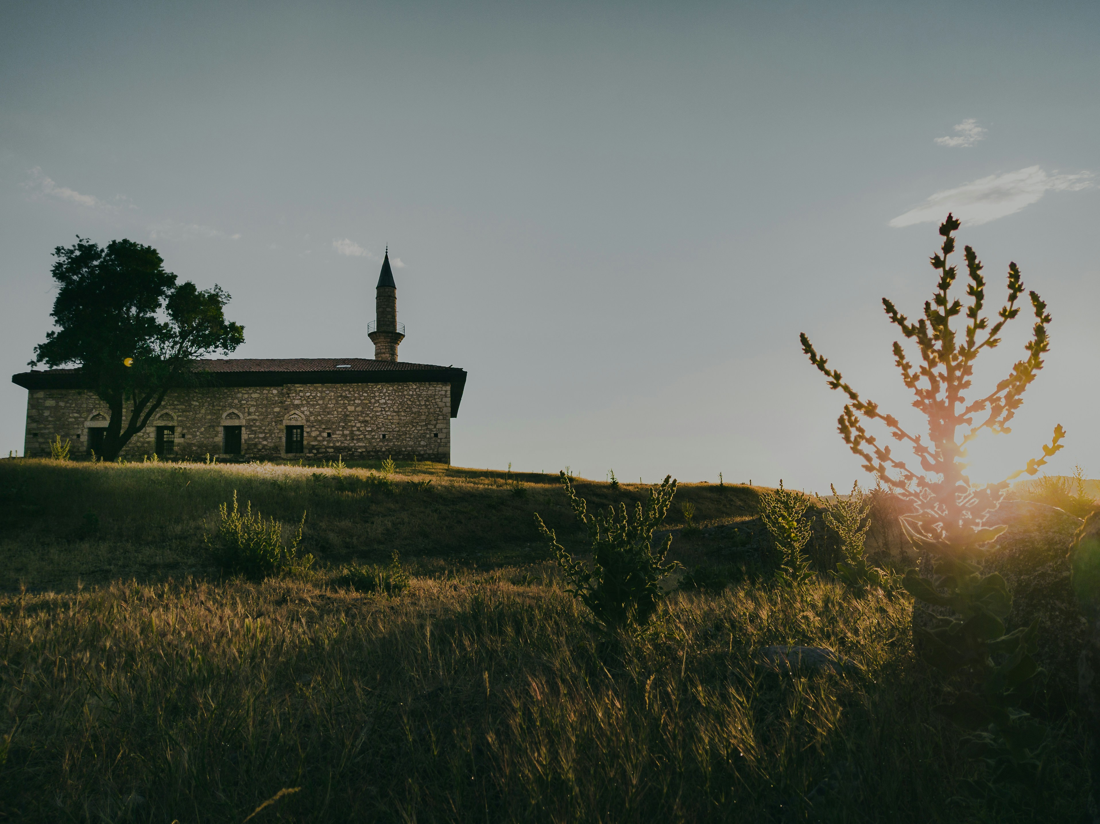 gray concrete building on green grass field during sunset