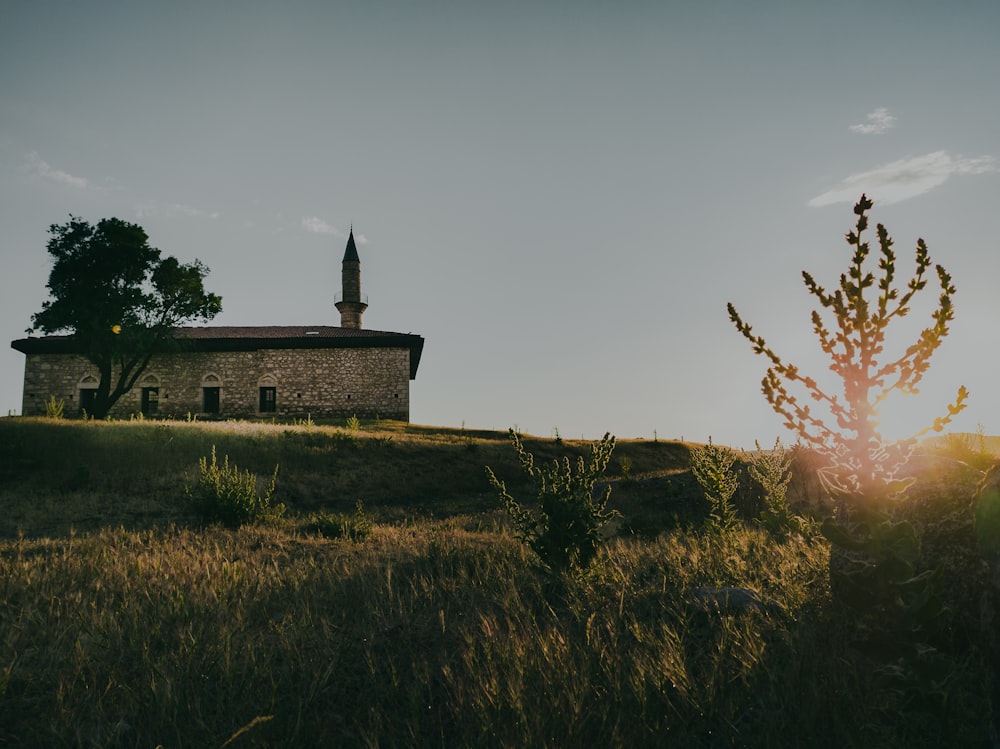 gray concrete building on green grass field during sunset