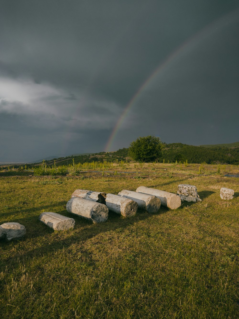 gray rocks on green grass field under rainbow