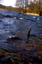 Close-up of advanced water quality sensors installed in a clear river stream.