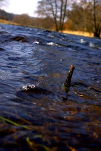 Close-up of a water quality sensor submerged in a clear river stream, capturing real-time data.