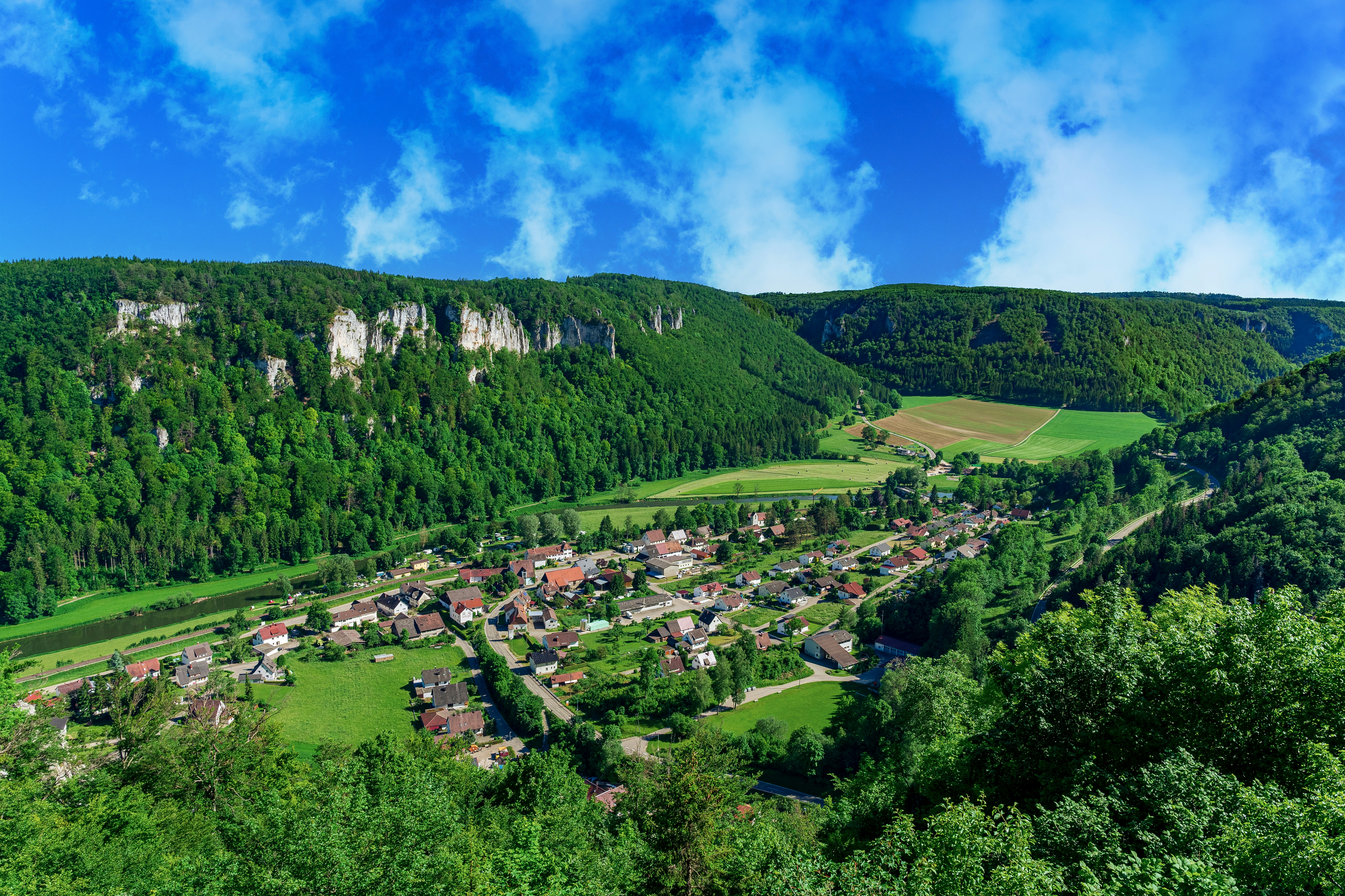green trees and houses under blue sky during daytime