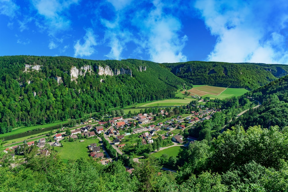 árboles verdes y casas bajo el cielo azul durante el día