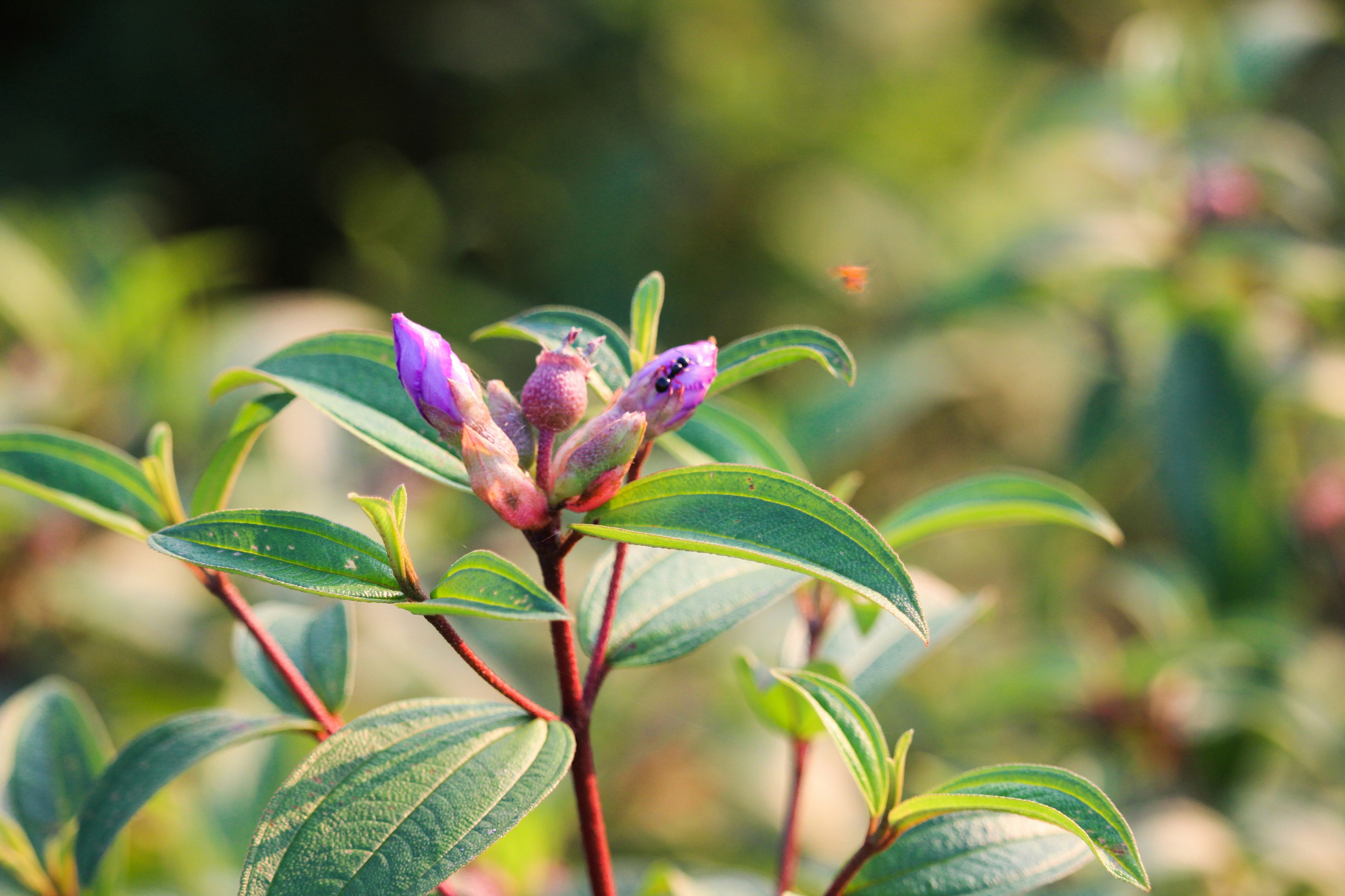 Photo by iliasmiah96