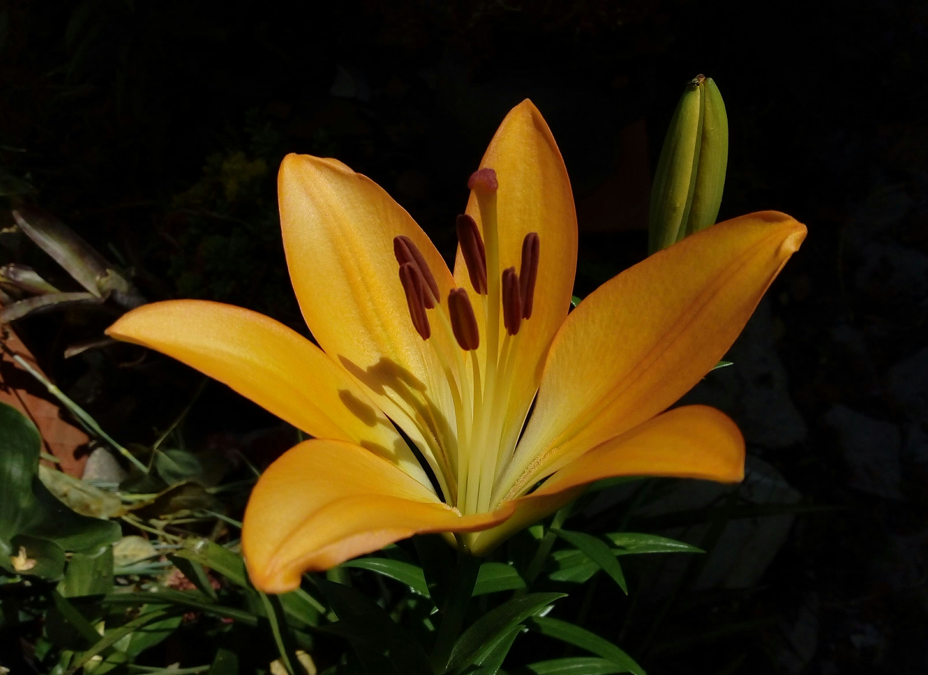 Photo by pauladias68