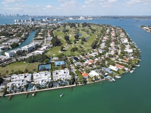 aerial view of city buildings near body of water during daytime