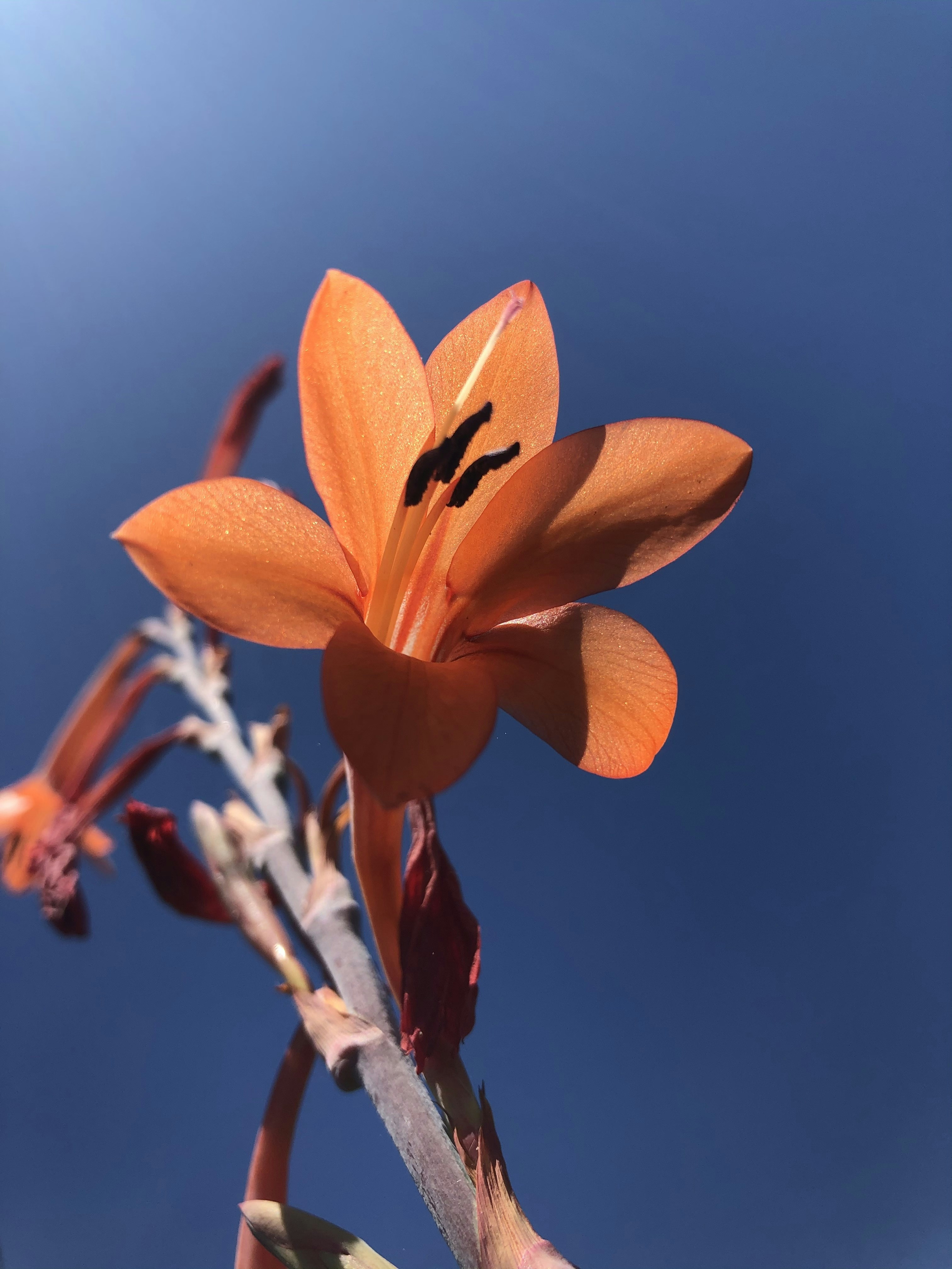 Photo by sweetyogajustine