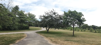 A calm community park pathway winding through green spaces under a soft overcast sky.