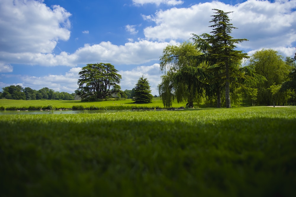 green grass field with green trees under blue sky and white clouds during daytime