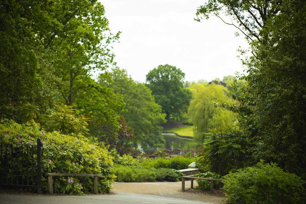 brown wooden bench near green trees during daytime