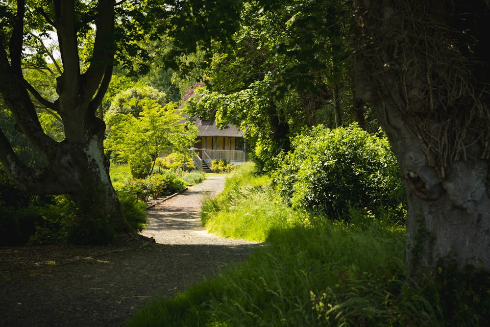 green trees near brown wooden house during daytime