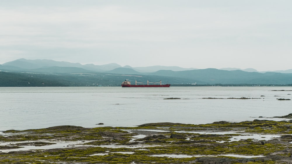 red and white ship on sea during daytime