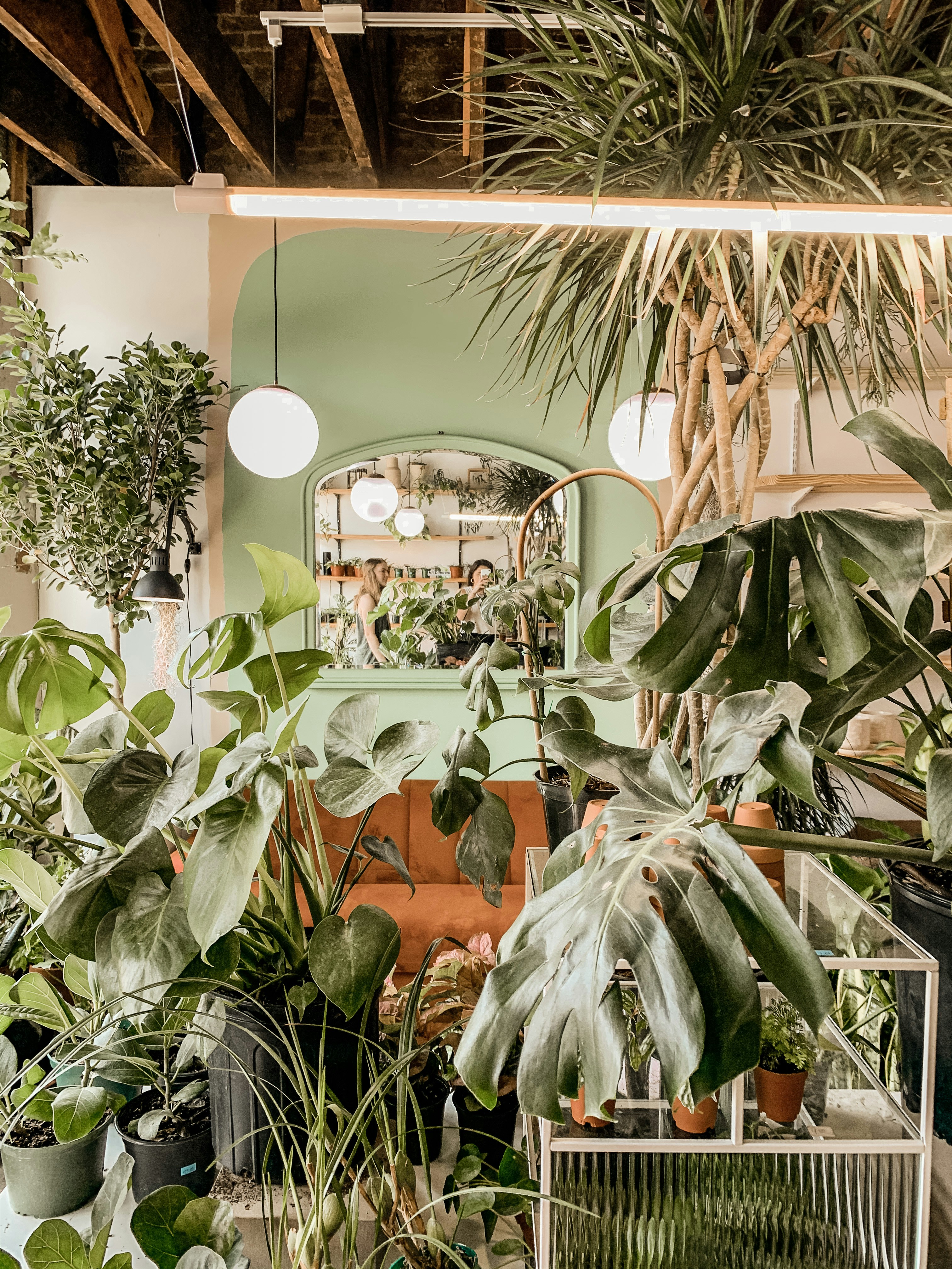 Photo by juliejarrett