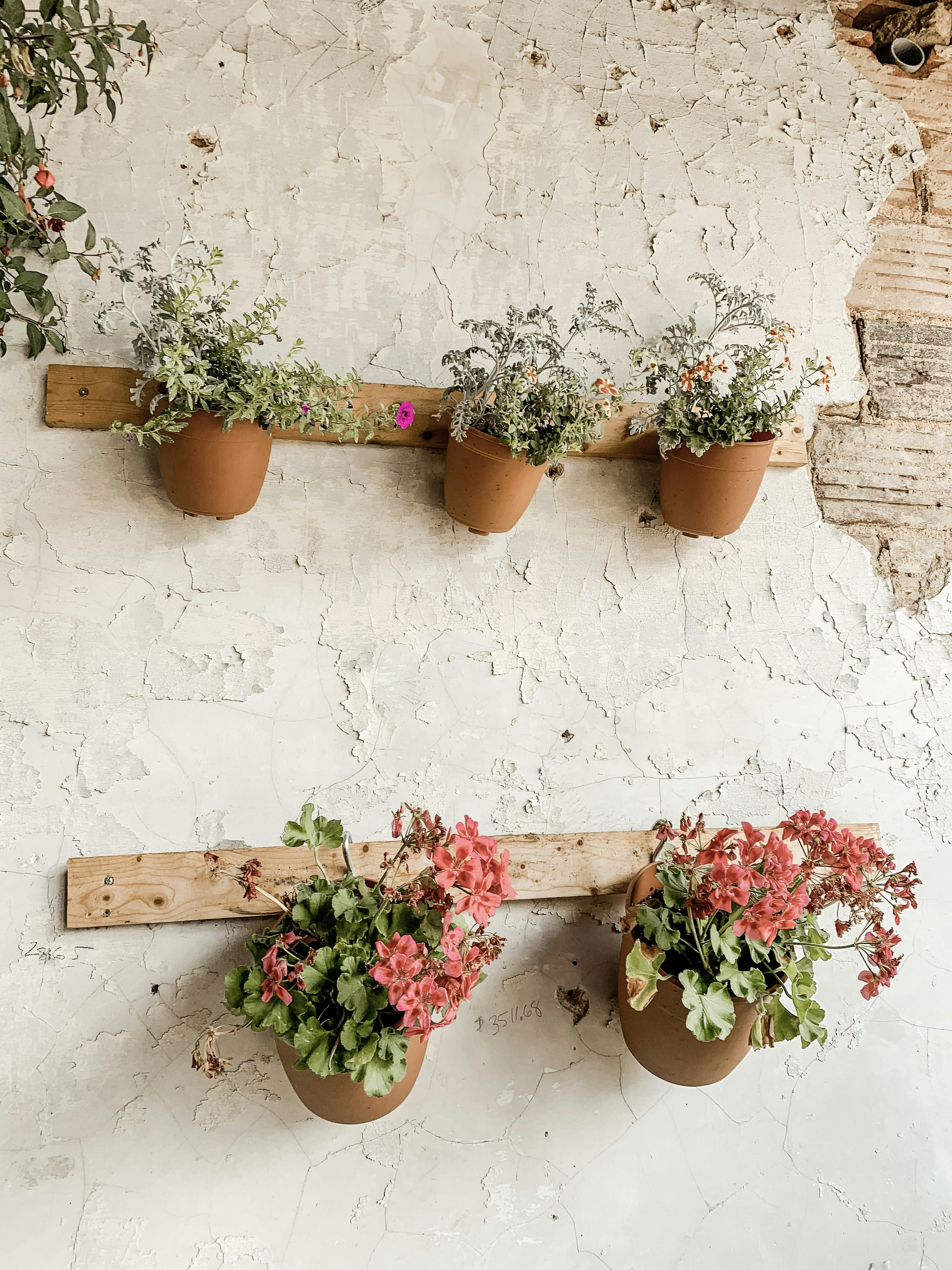 Photo by juliejarrett