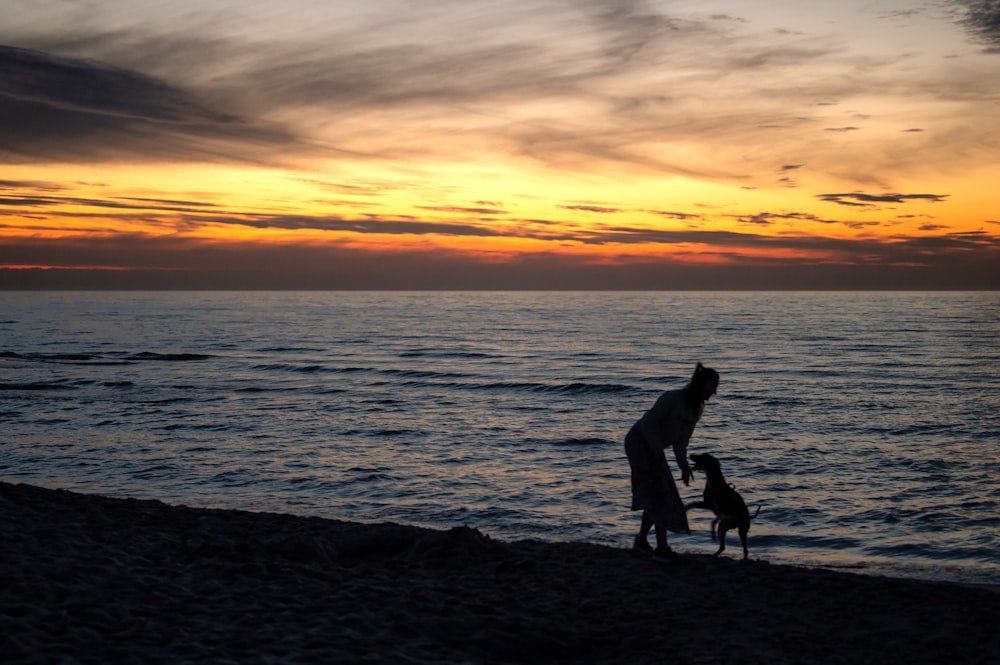 silhouette of 2 people walking on beach during sunset