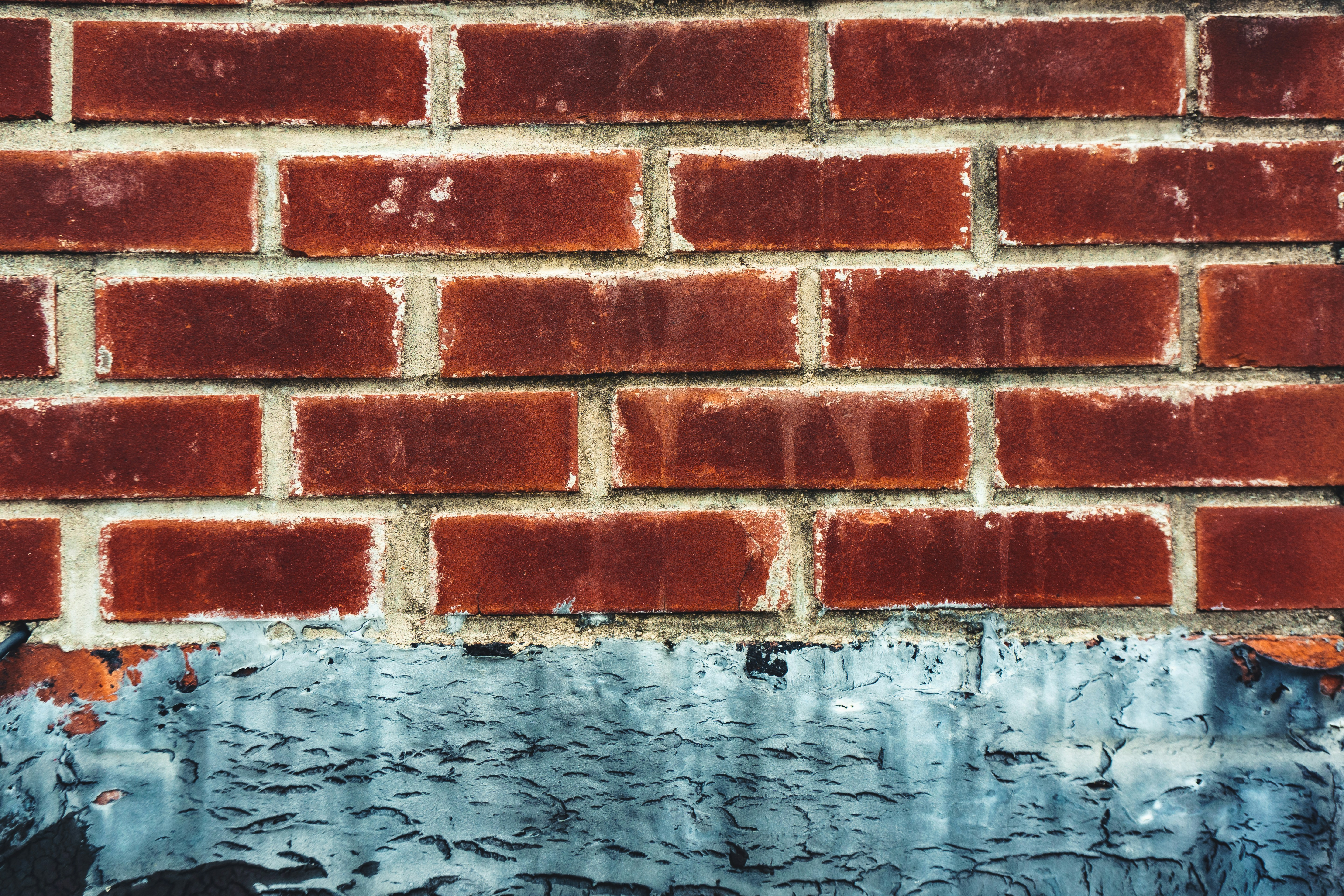 Photo by clayleconey