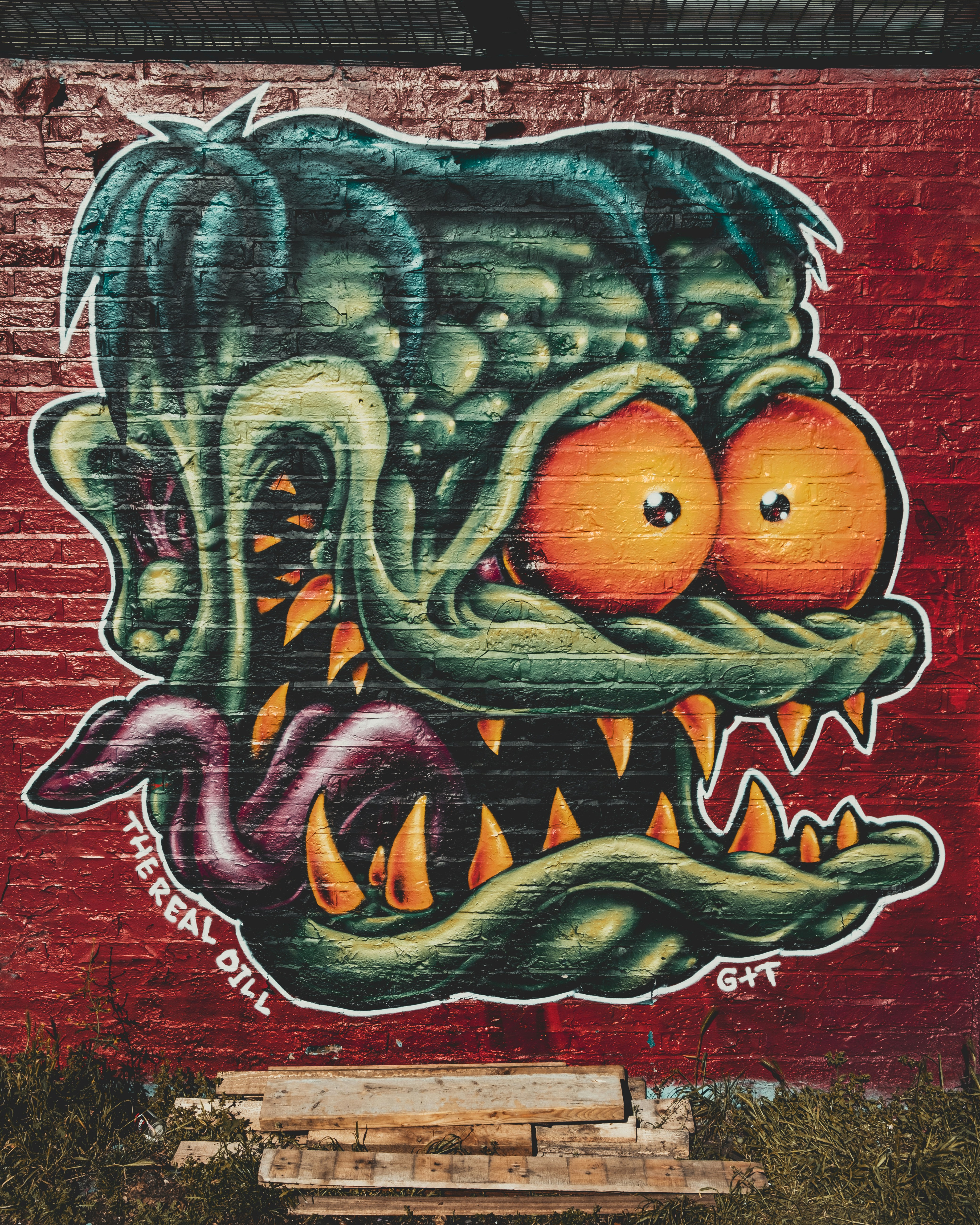 赤と緑のドラゴンのイラストの写真 Unsplashの無料ストリートアート写真