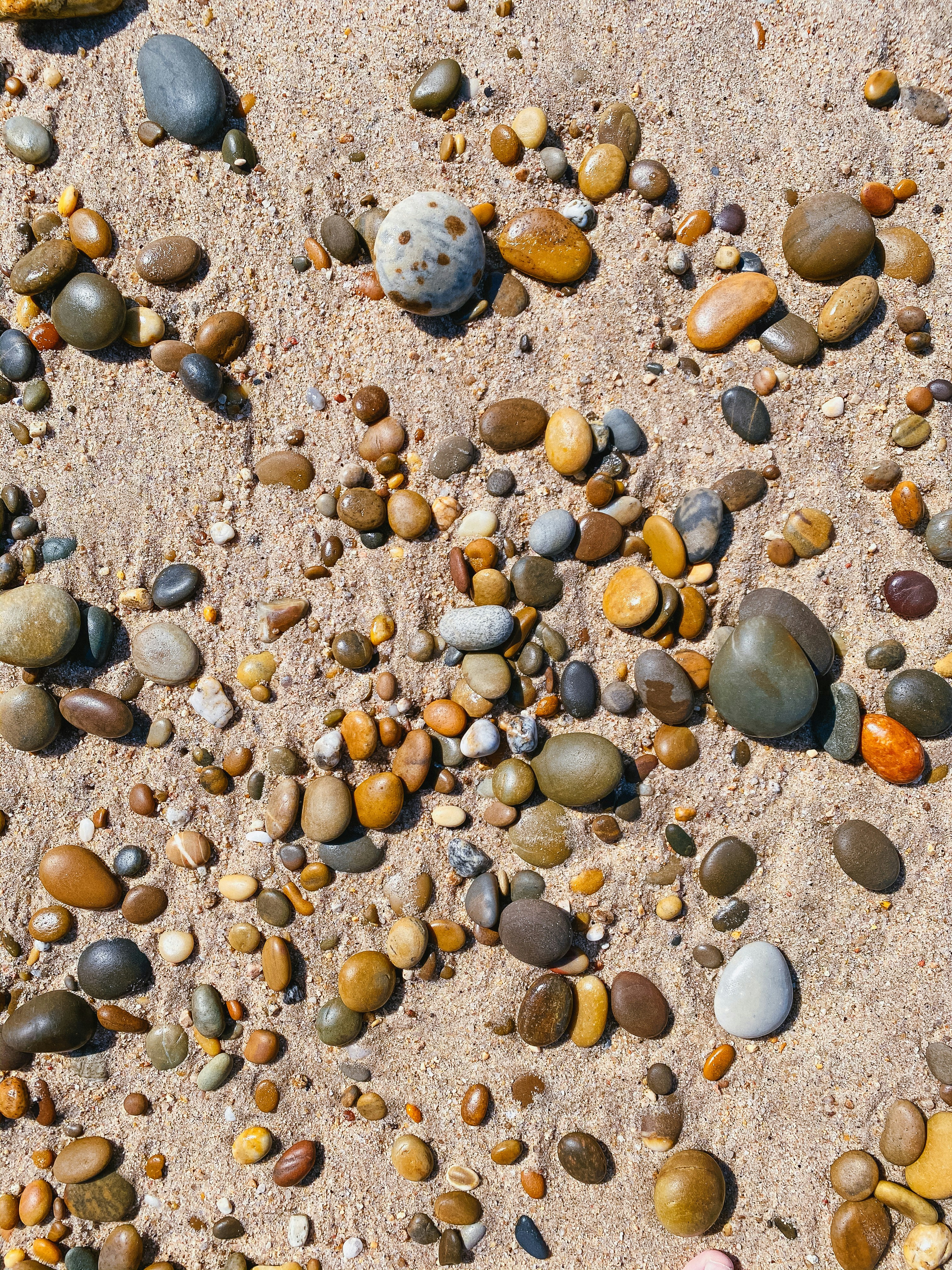 Photo by porreca_cesar