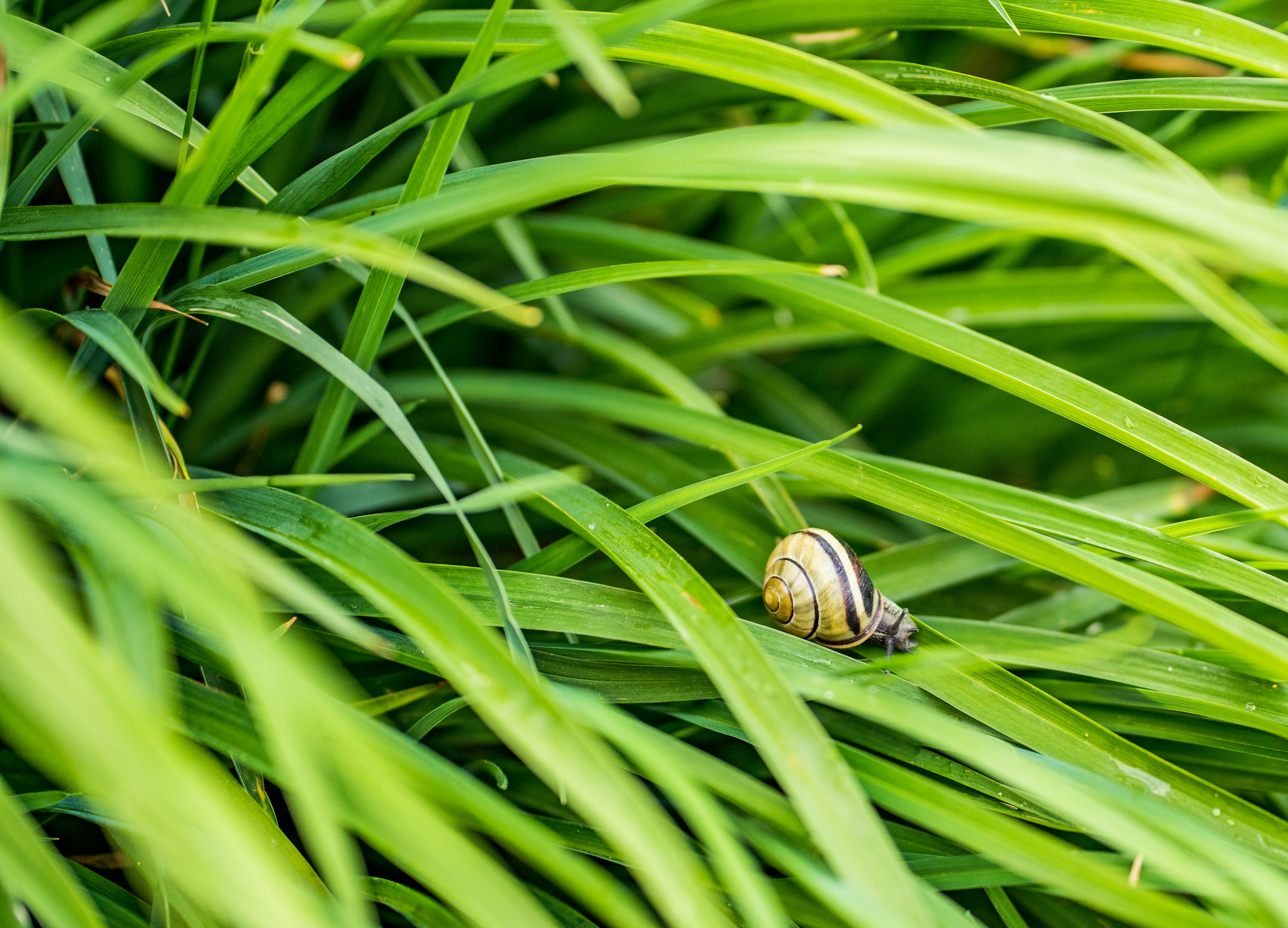 Photo by chris_robert