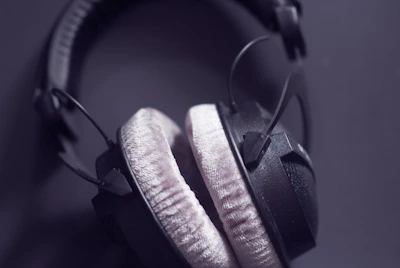 Side view of premium over-ear headphones with plush ear cushions in a cozy room.