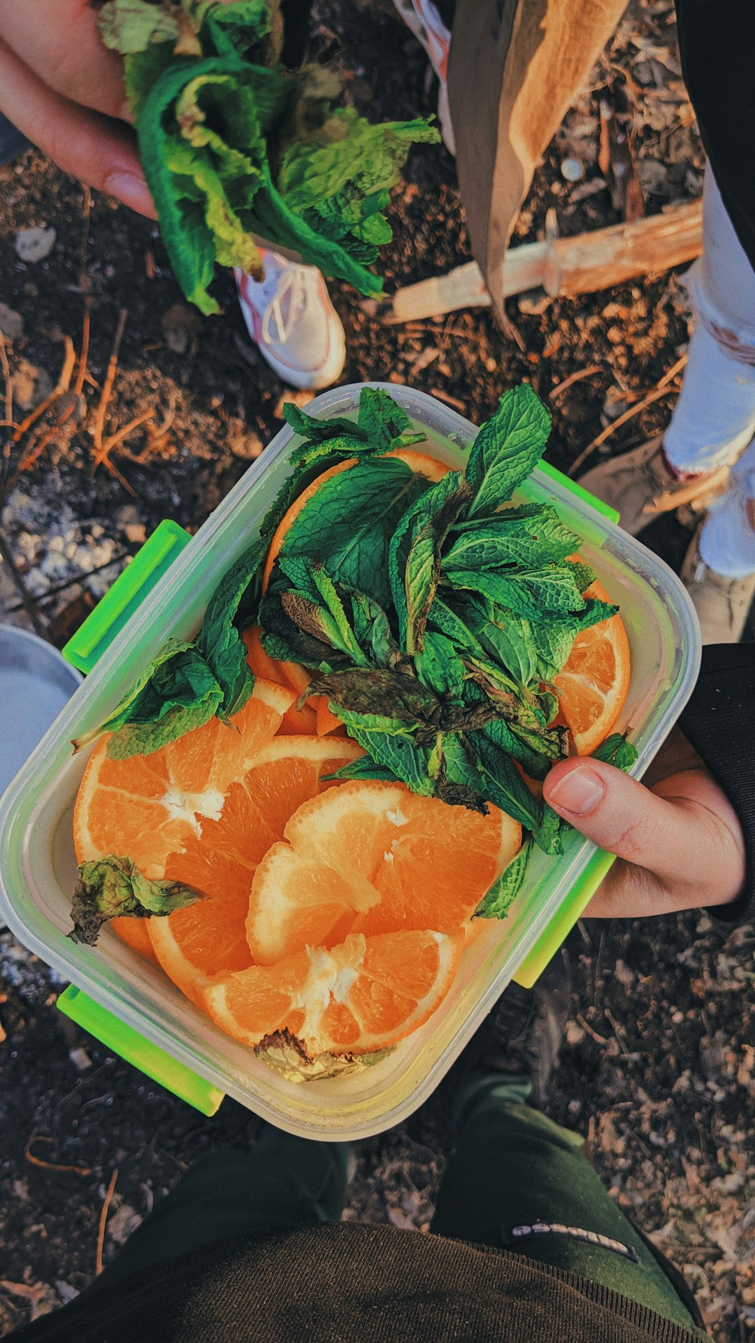 sliced orange fruit on blue plastic container