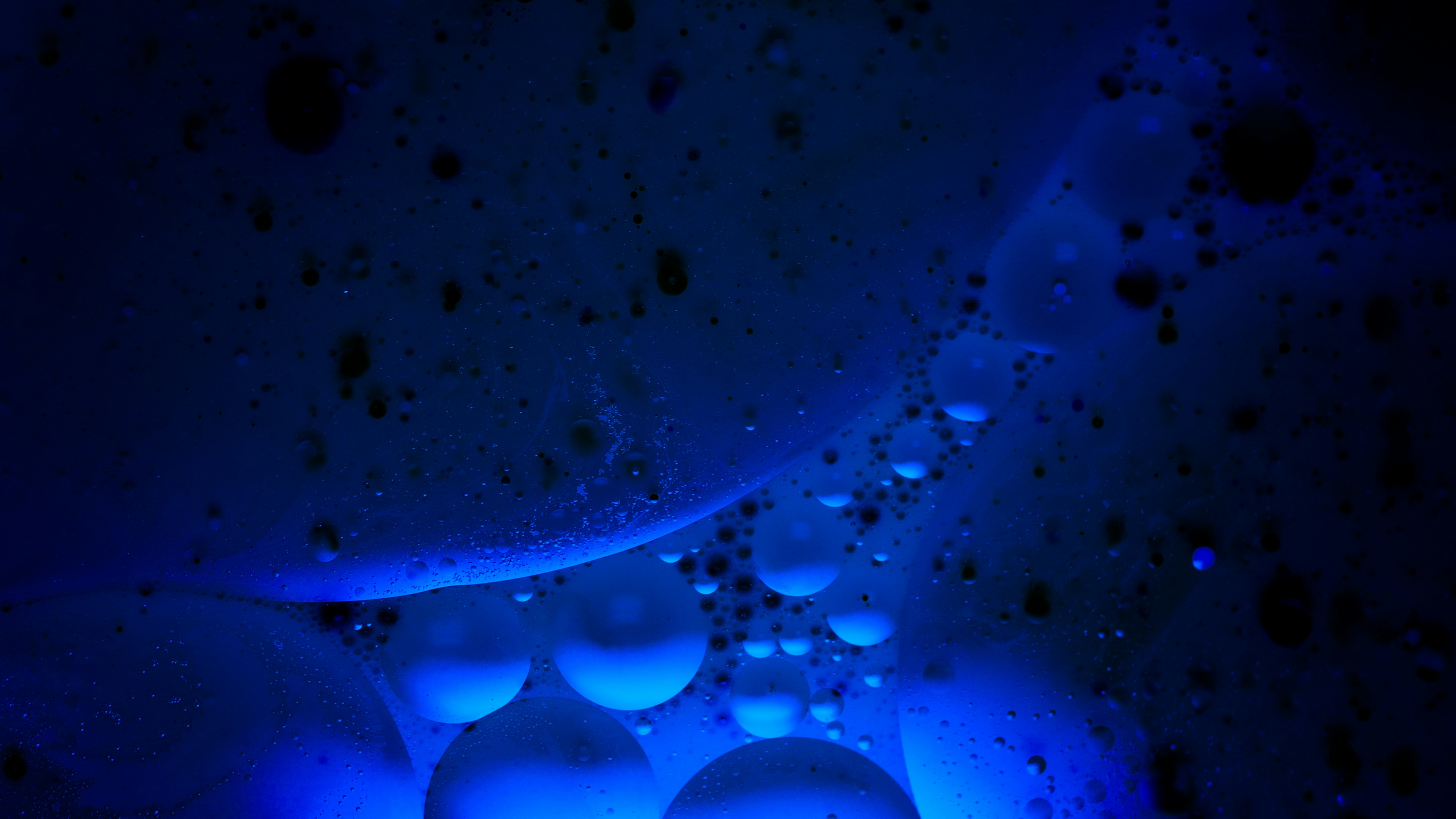 Photo by michael_marais