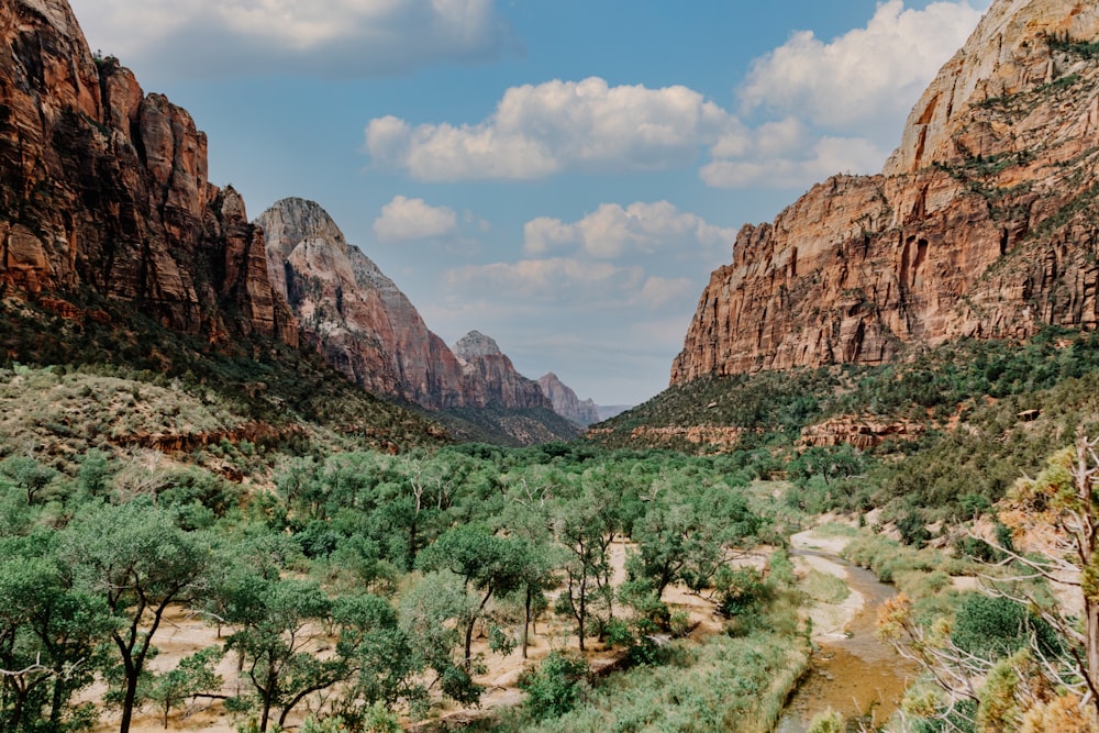 green trees near brown rocky mountain under blue sky during daytime