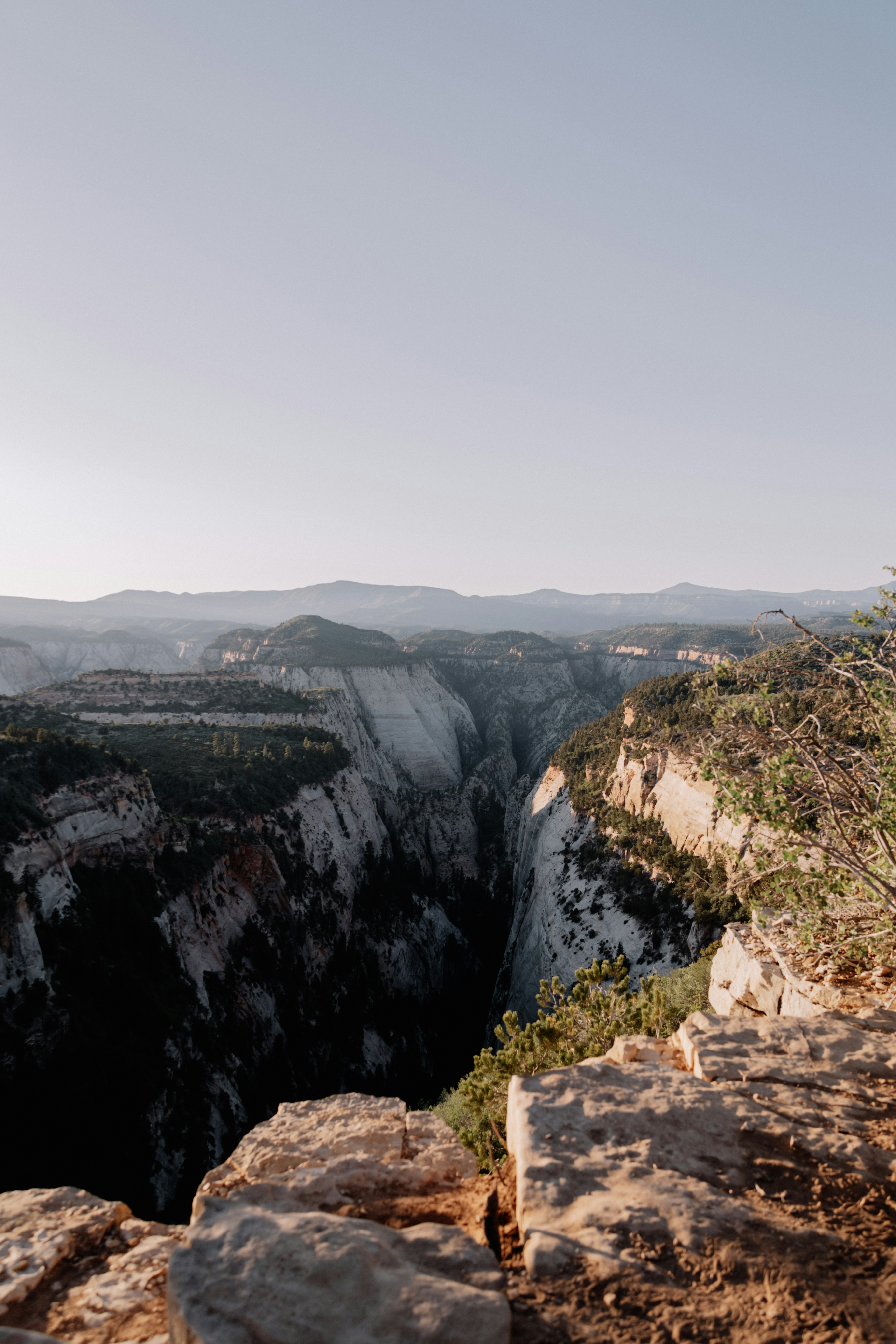 Photo by isaacmartin