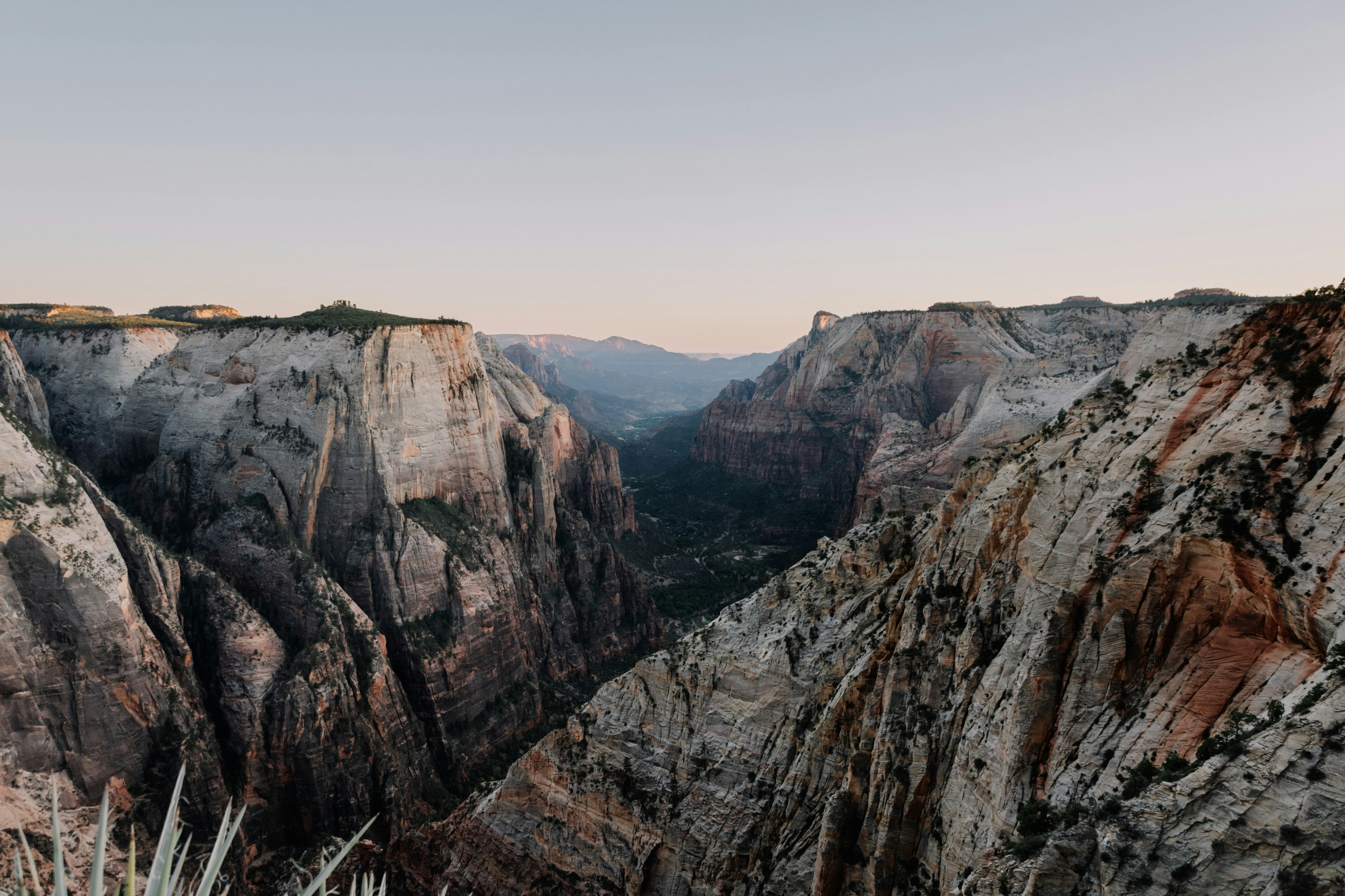 Photo by isaacmartin