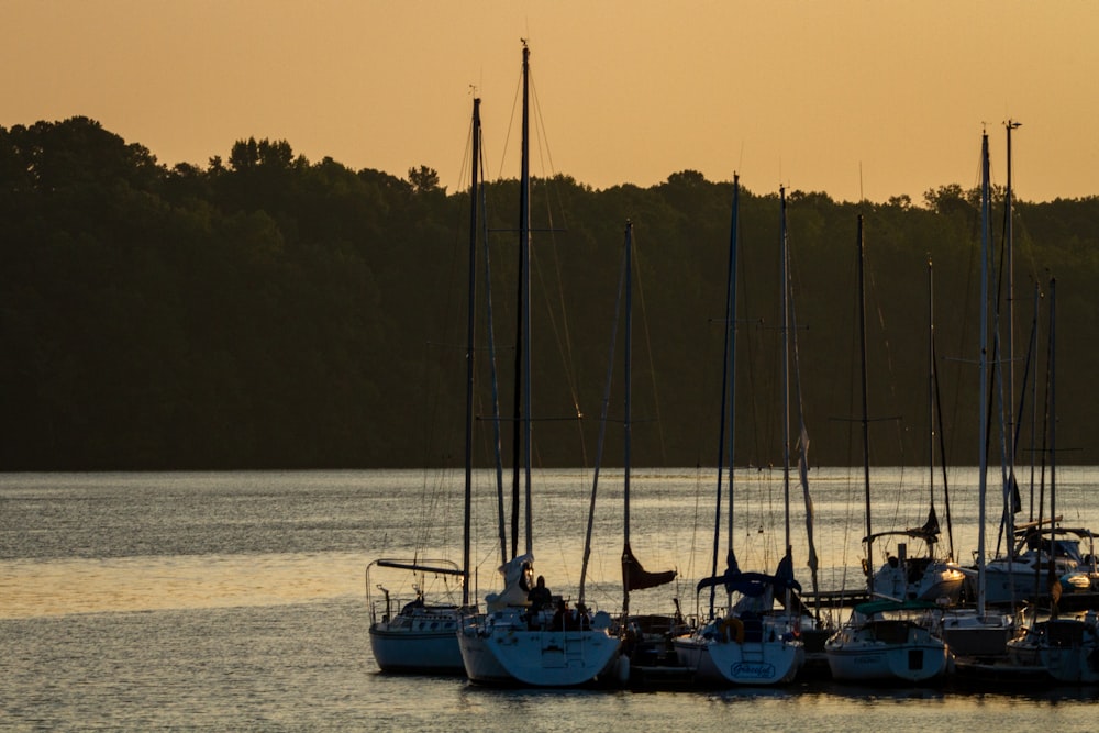 white sail boat on sea during daytime