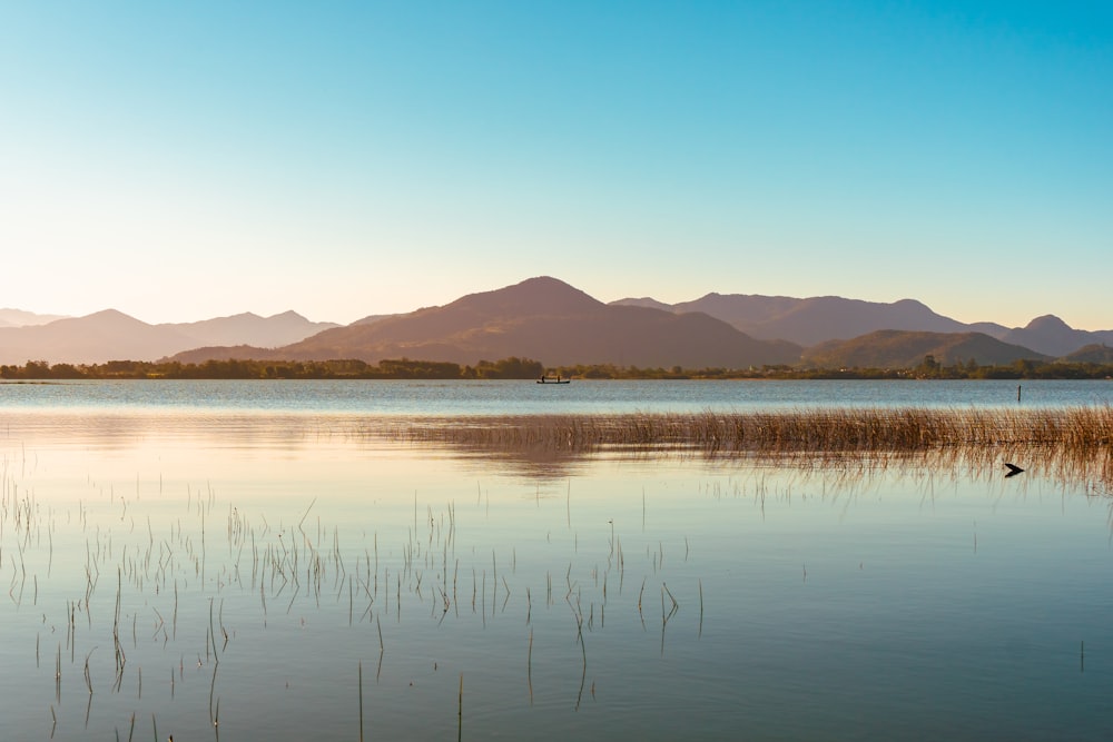 acqua calma vicino alla montagna sotto il cielo blu durante il giorno