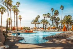 swimming pool near palm trees during daytime