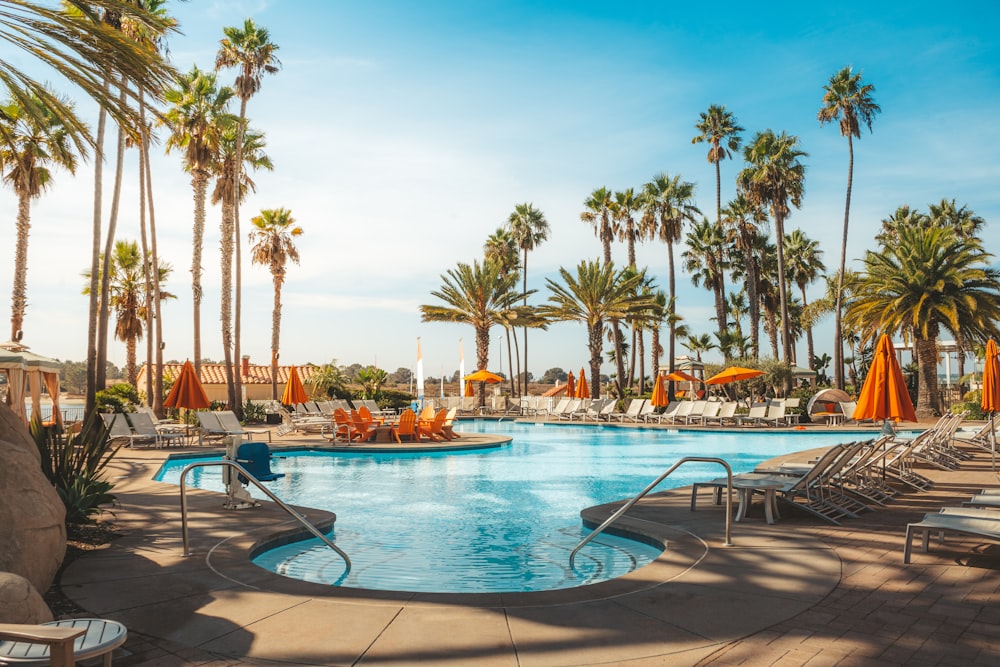 swimming pool near palm trees during daytime