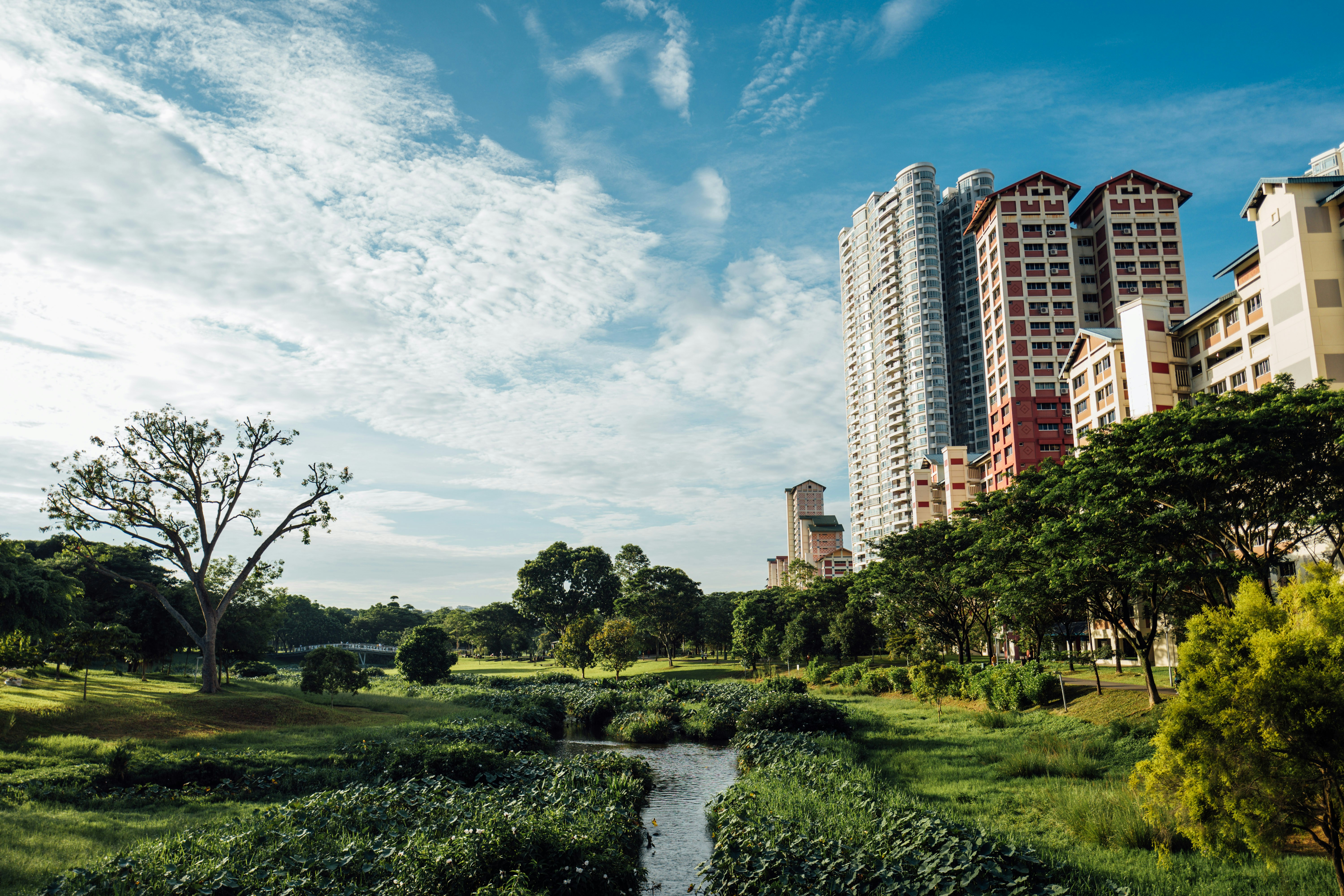 Photo by chuttersnap