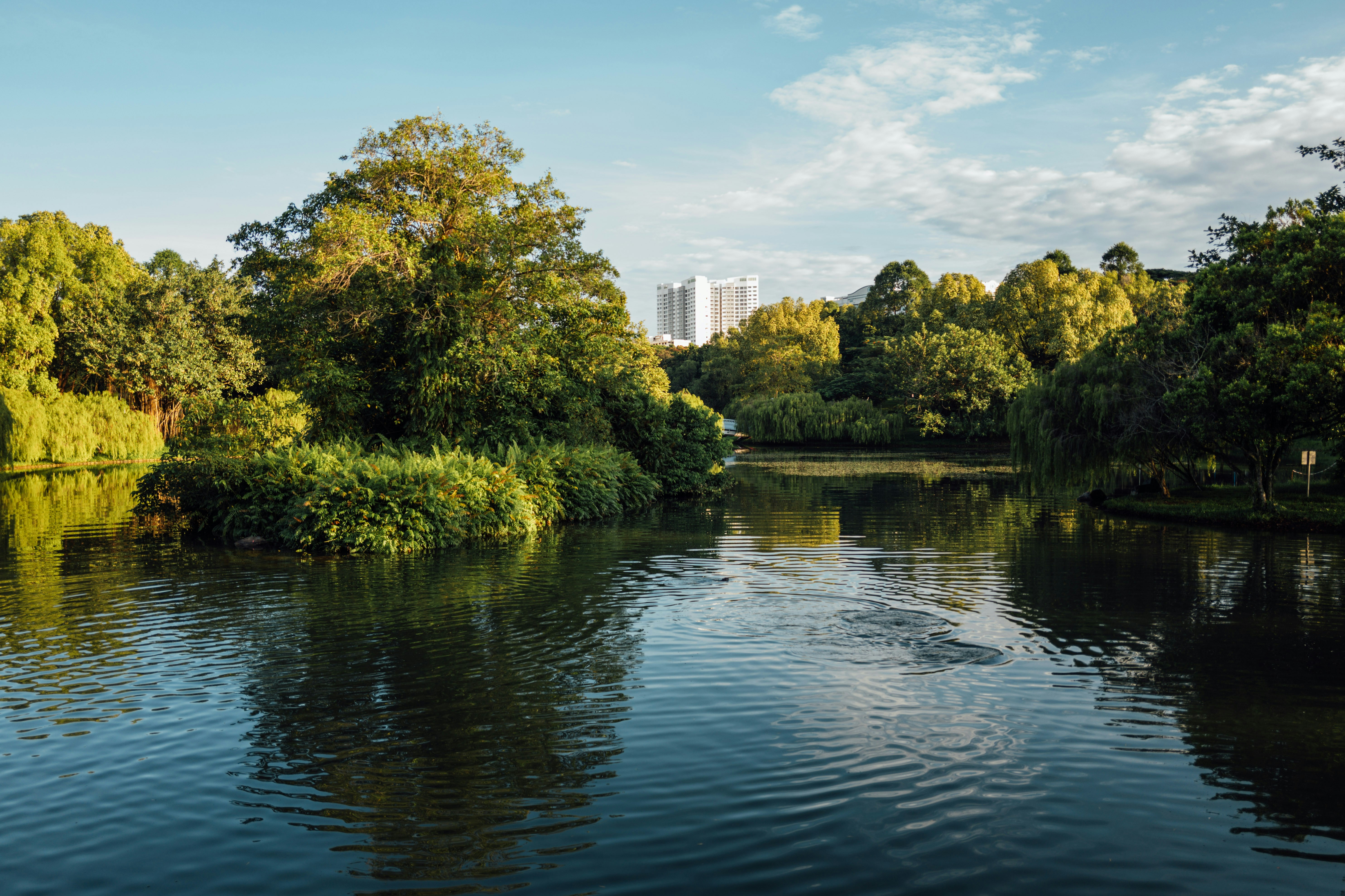 Photo by chuttersnap