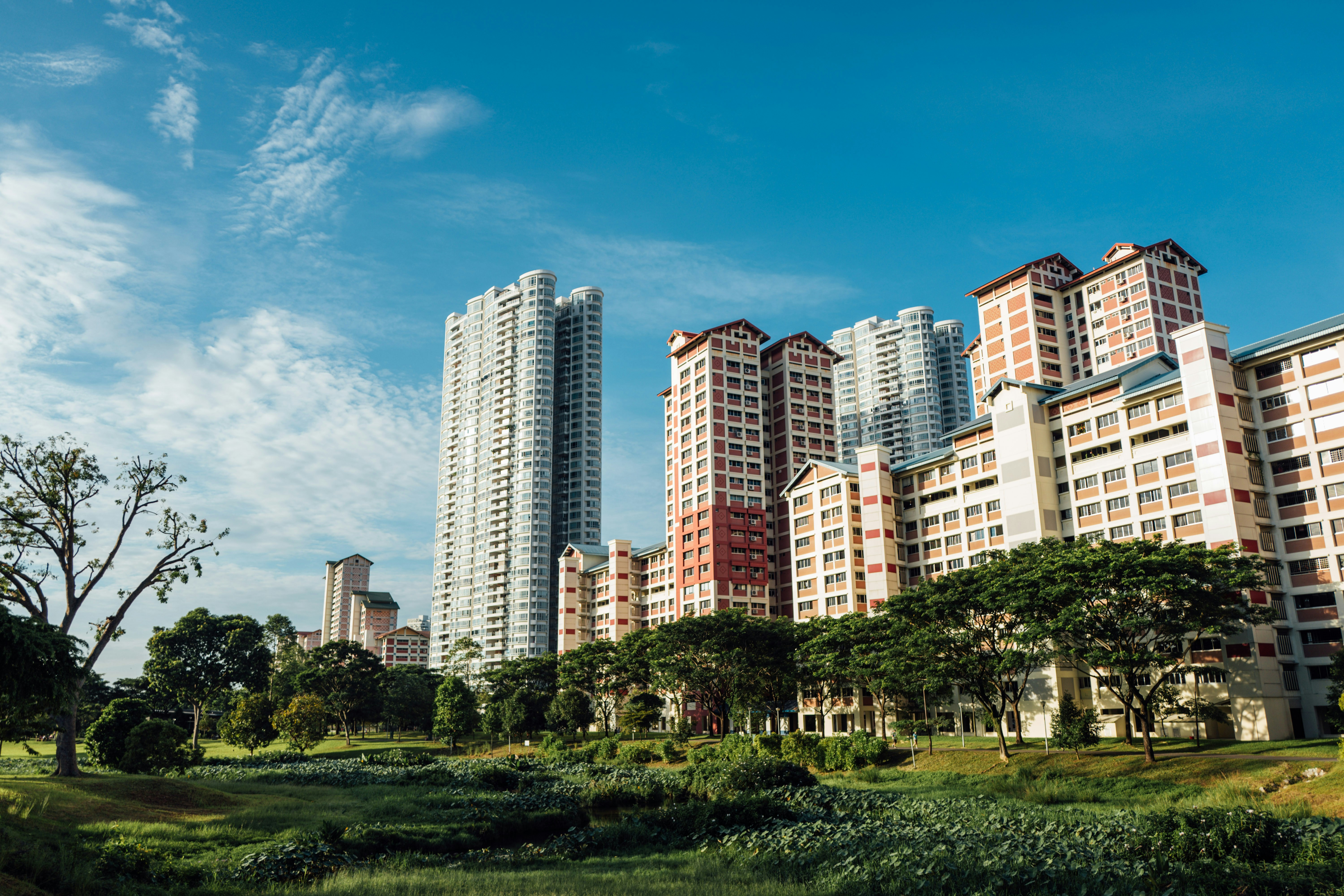 Photo by chuttersnap