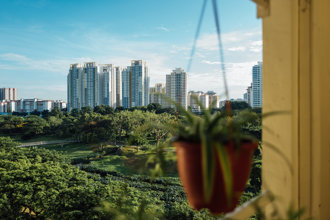 city skyline under blue sky during daytime