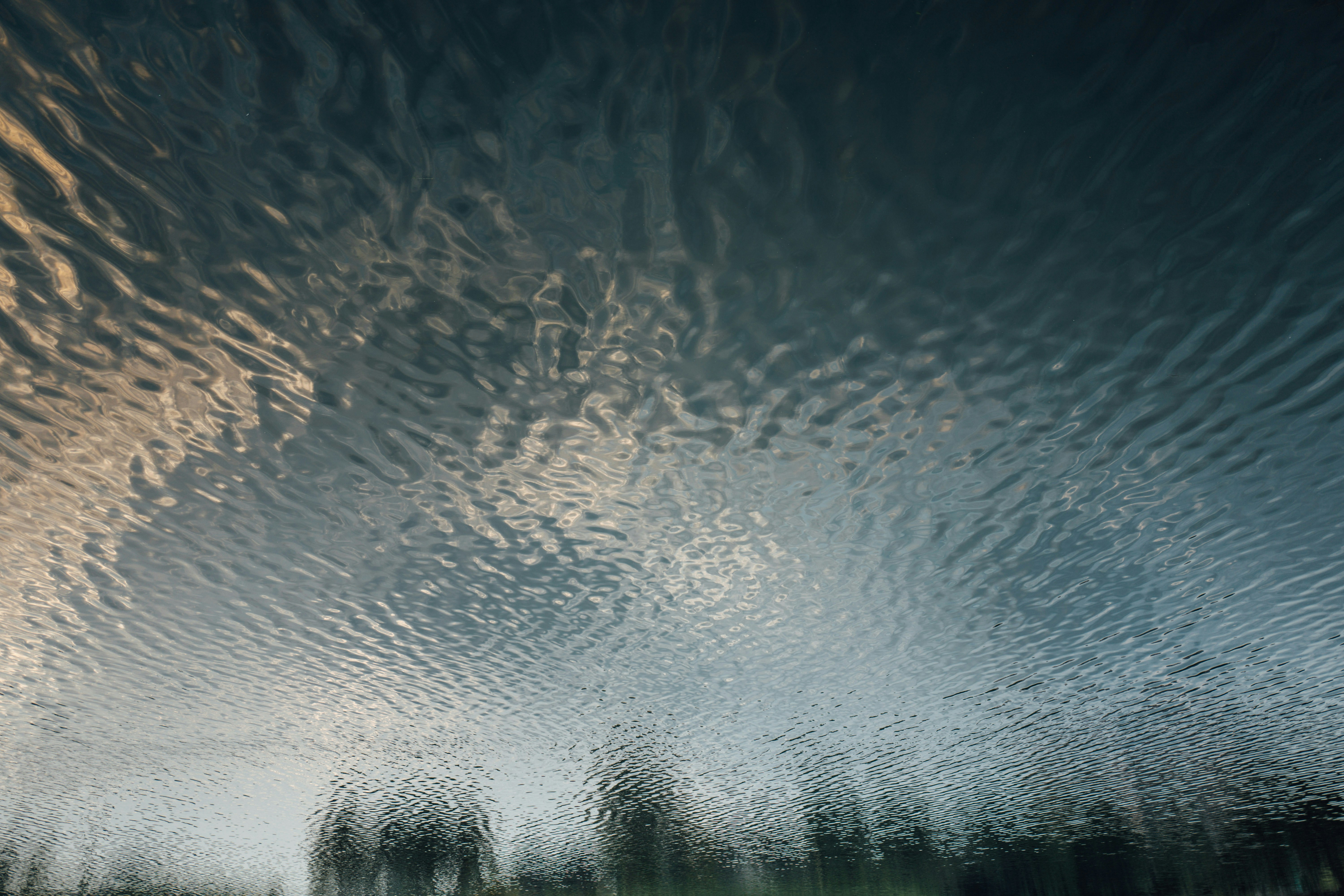 Photo by chuttersnap