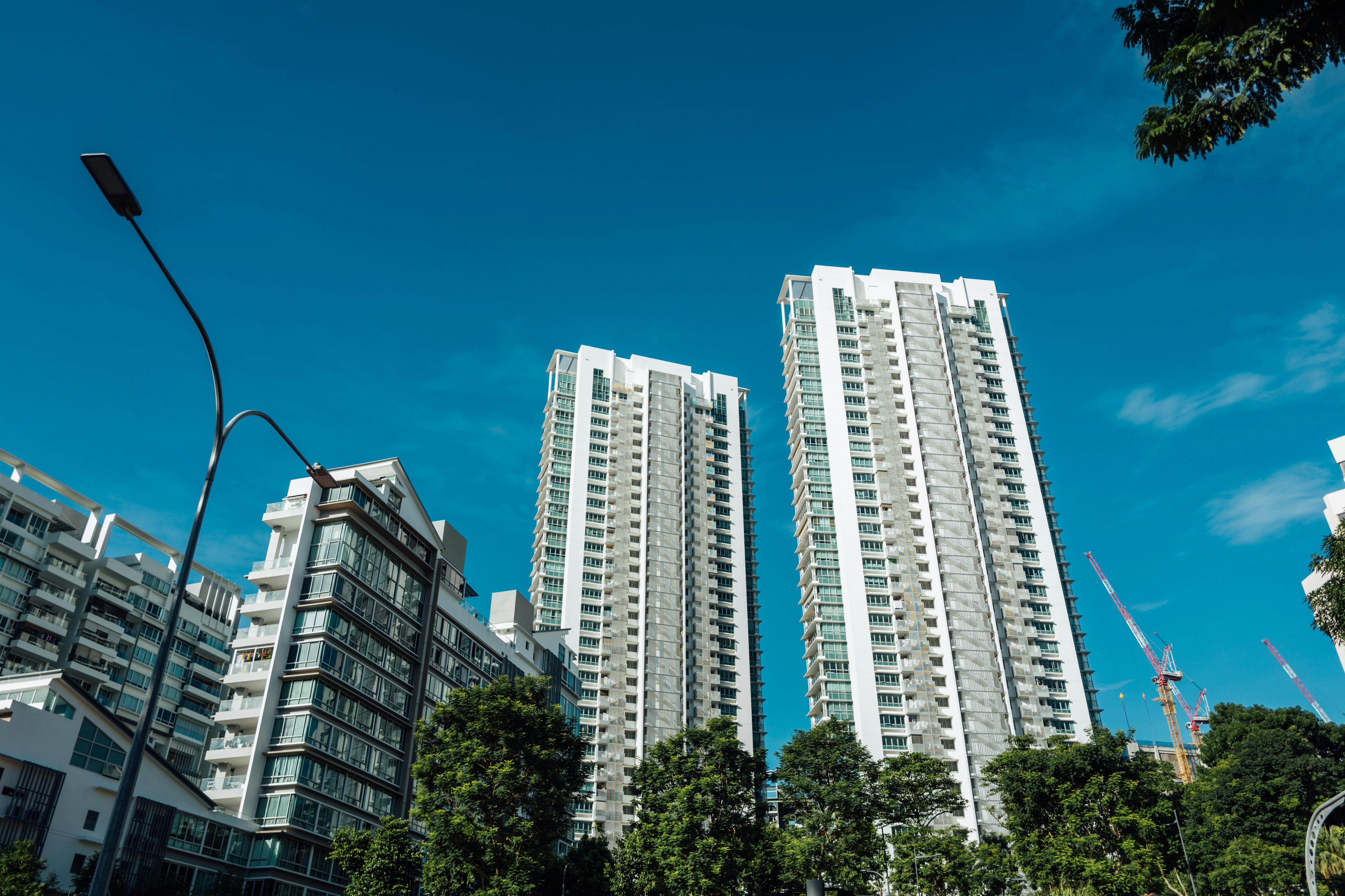 Photo by chuttersnap