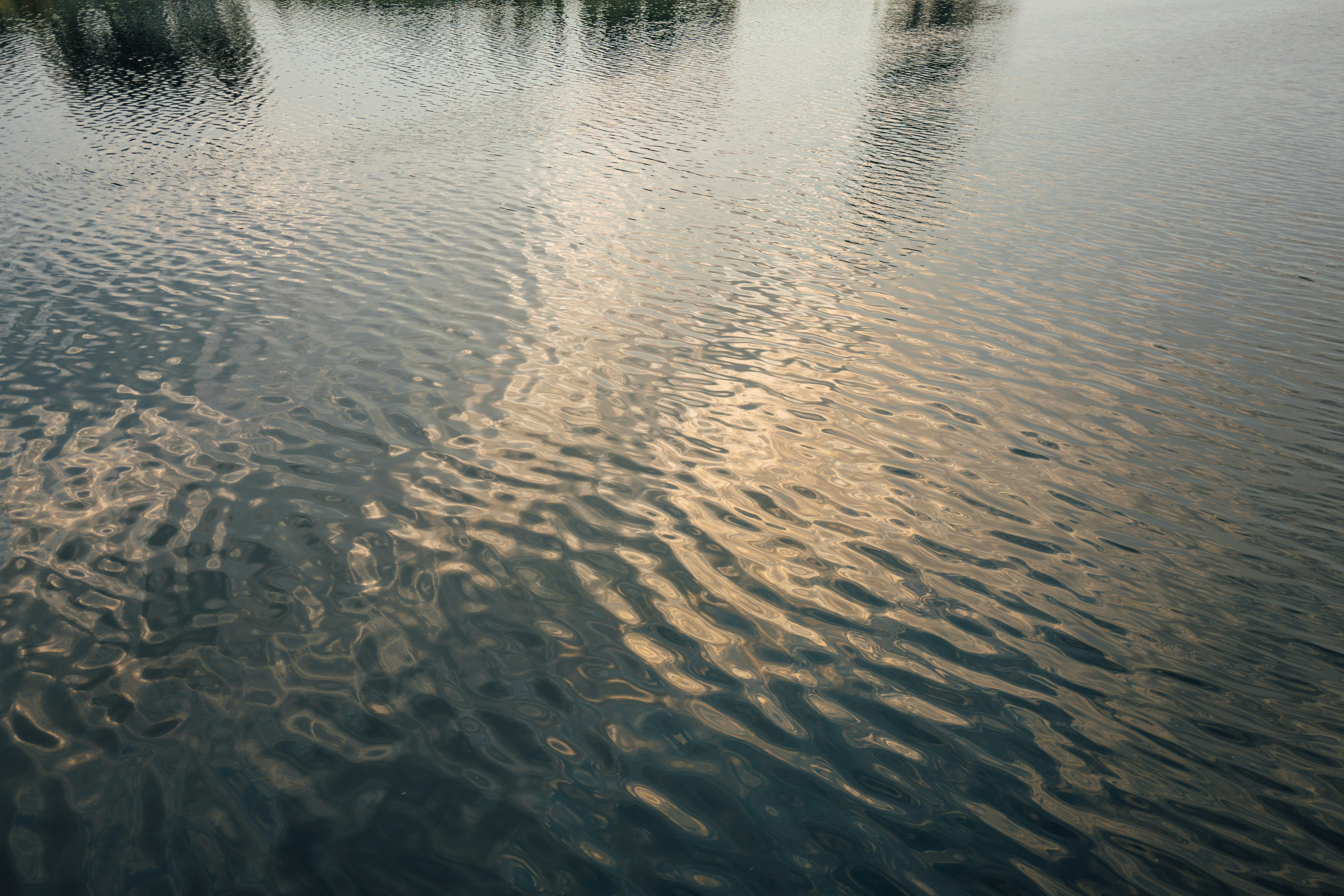 Photo by chuttersnap